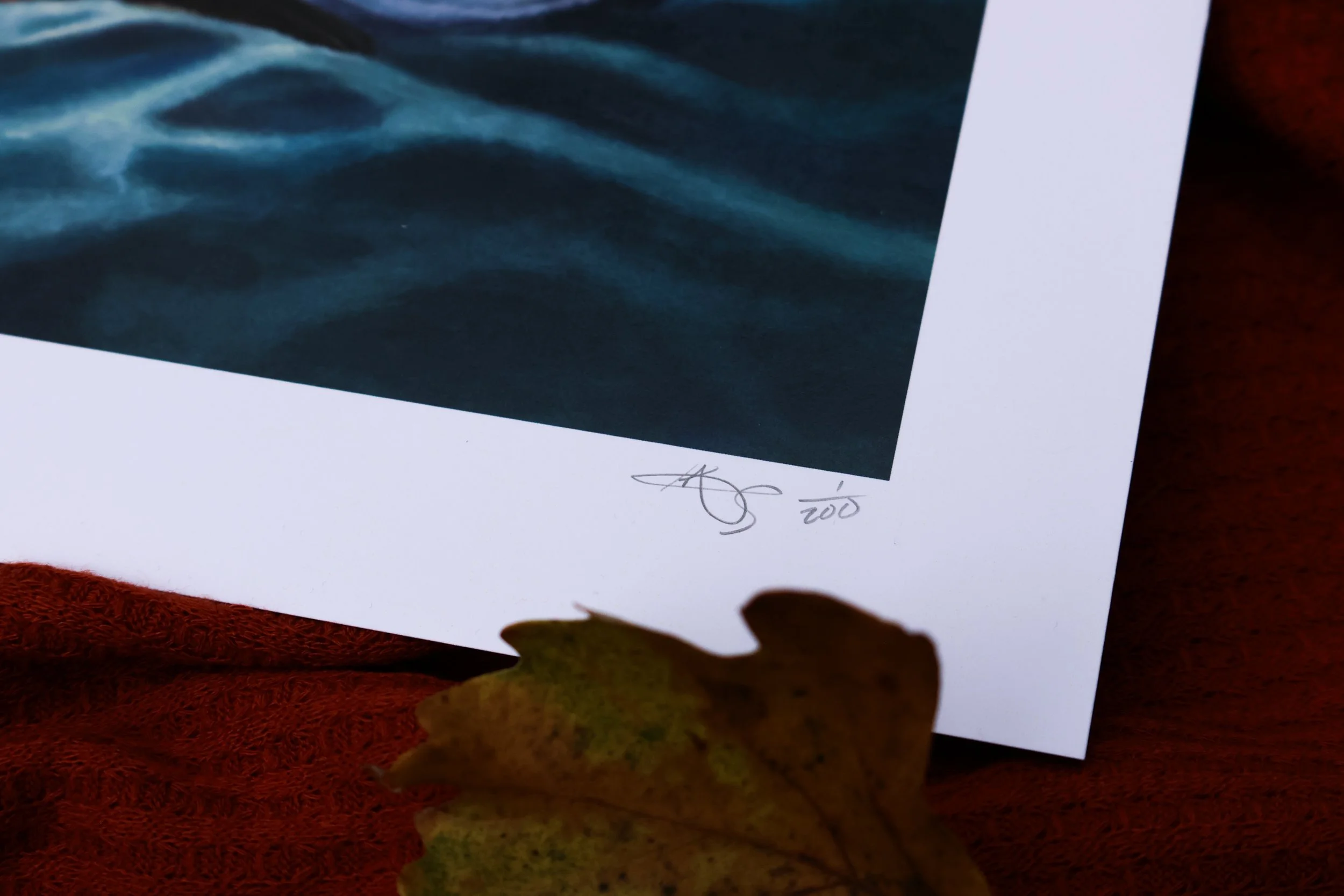 DuckPrints26 -59.JPG