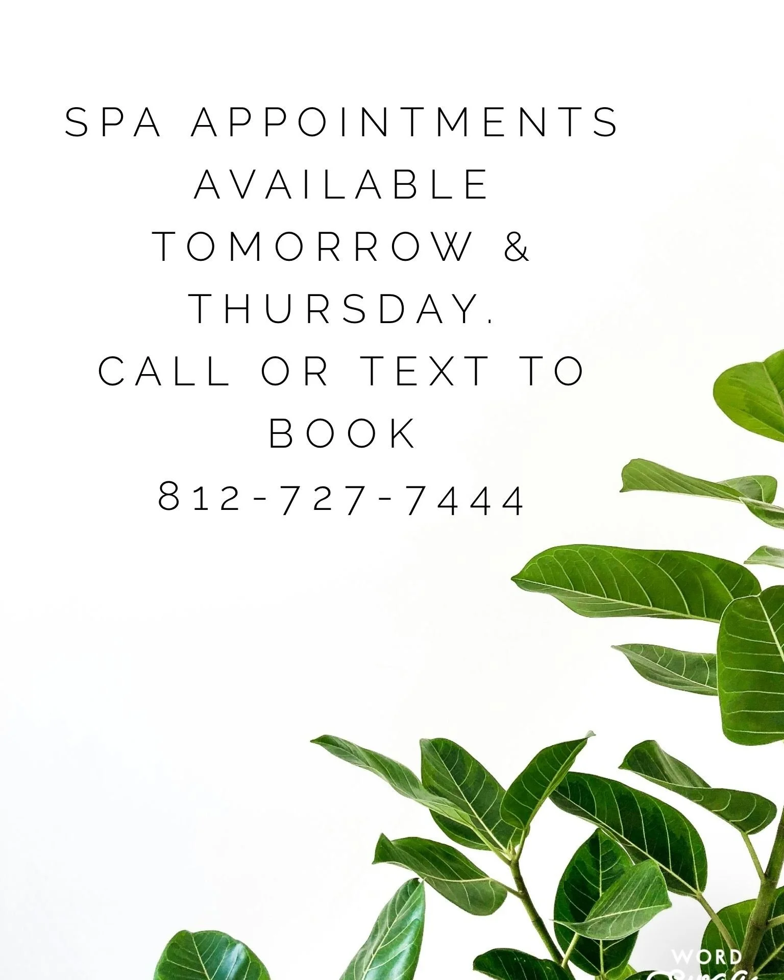 ✨ A few spa appointments just opened up with our Esthetician, Tessa! ✨

Whether you're overdue for some self-care or want to get your skin glowing for summer, now's the perfect time to book.

📞 Call or text 812-727-7444 to reserve your spot before t