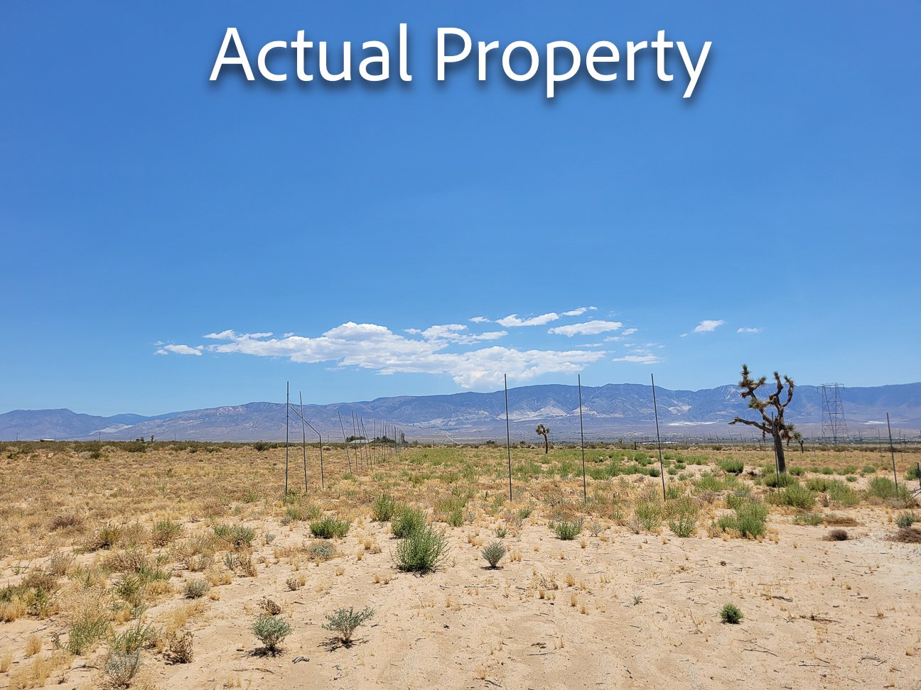LucerneValleyWellProperty-VacantLand-LandYourLots-133959.jpg