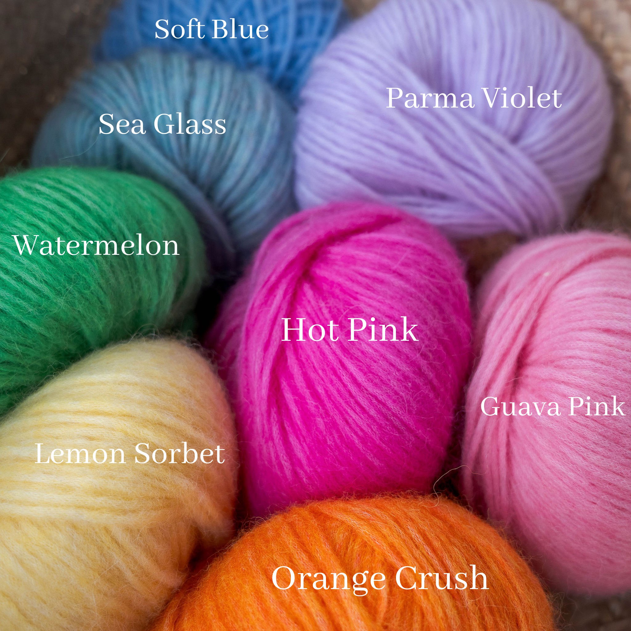 alpaca fruit chart colour.jpeg