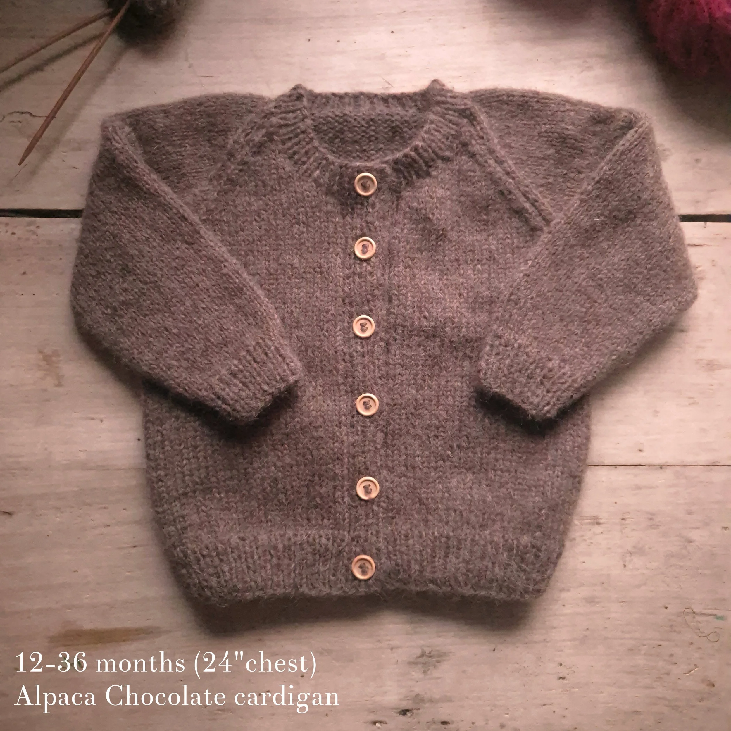 chocolate alpaca 12-36.jpg