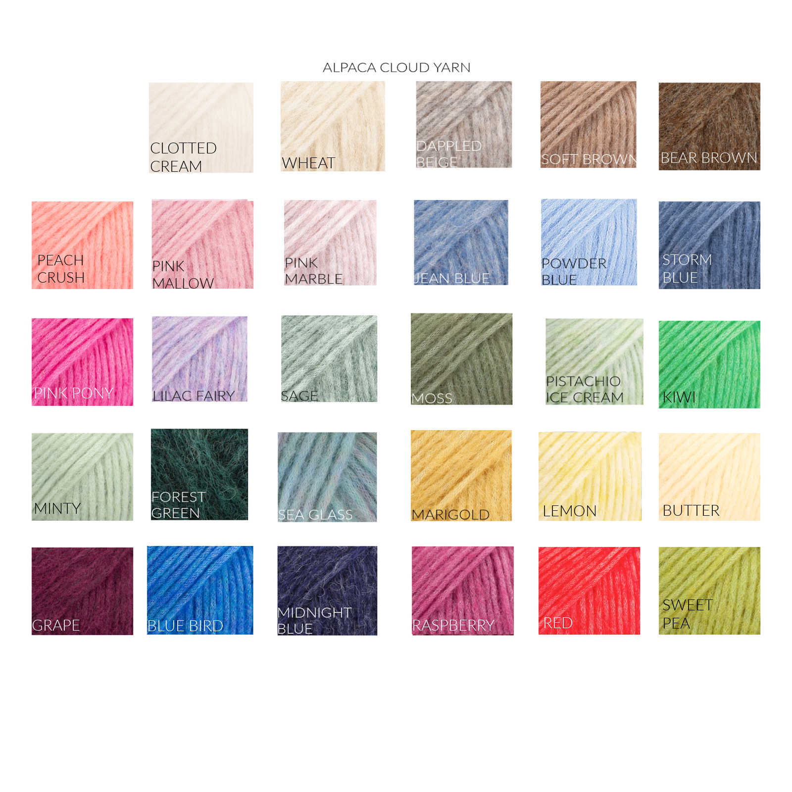 ALPACA COLOUR CHART NEW 2025.png