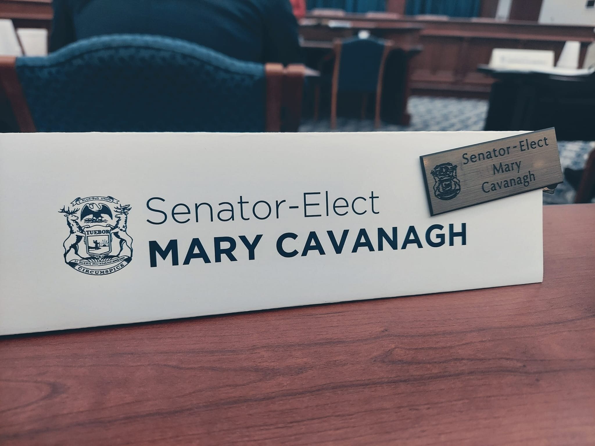 From Lansing to Livonia, hitting the ground running during a senate orientation to a Livonia City Counsel meeting, what an honor it is to continue to be able to fight for incredible communities now within the new Michigan 6th Senate District! I look 