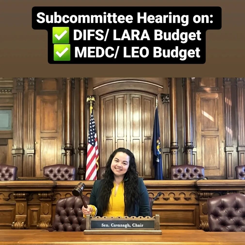 What an intense week it is already turning out to be! Chaired LARA/DIFS  sub-committee on Tuesday &amp; LEO/MEDC hearing today to start the budget review process to fight &amp;&amp; advocate for our small businesses, accessible childcare, labor force