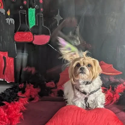 862116276_1559574579522385_6087625246986572974_n.jpg