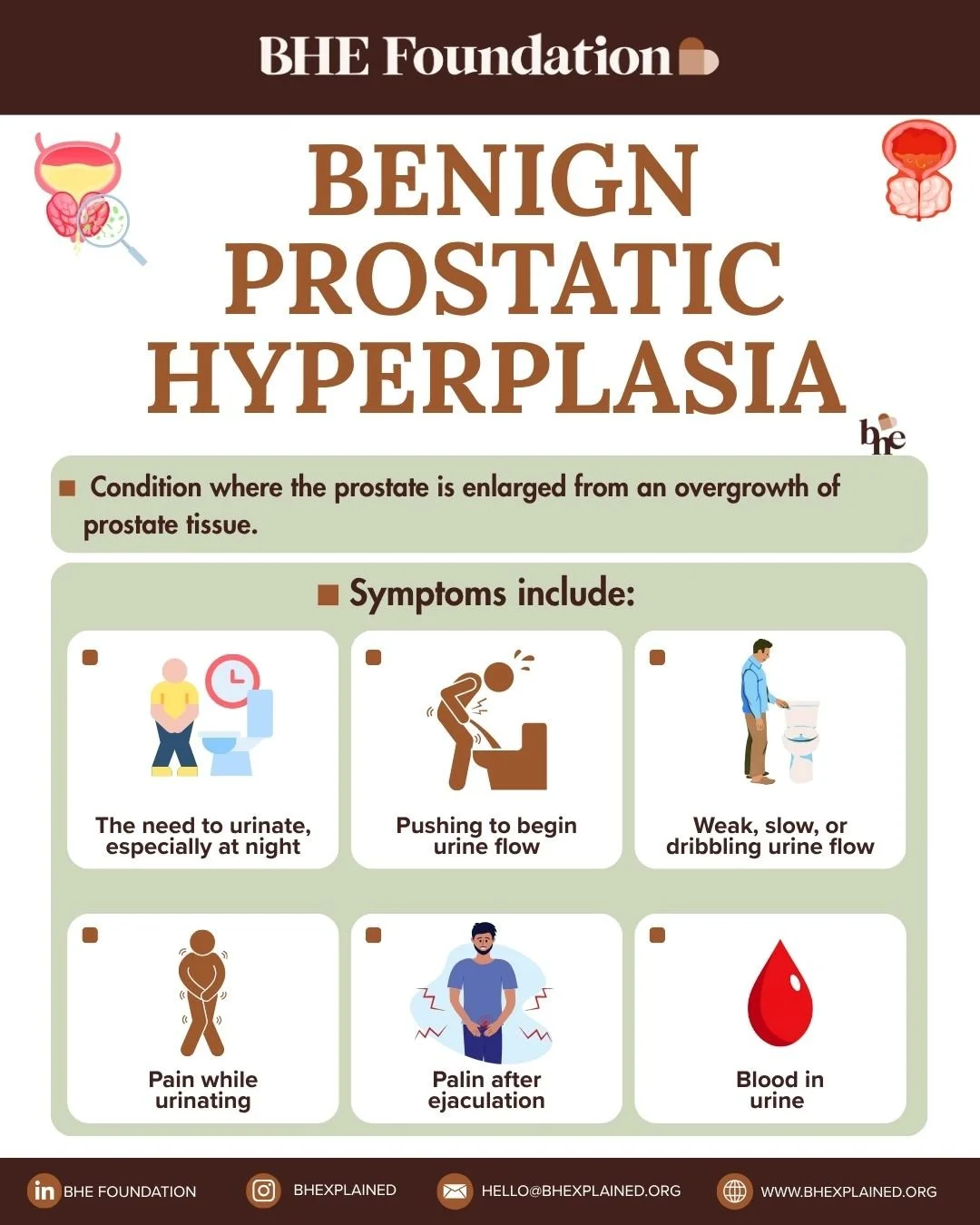 Benign Prostatic Hyperplasia.jpg