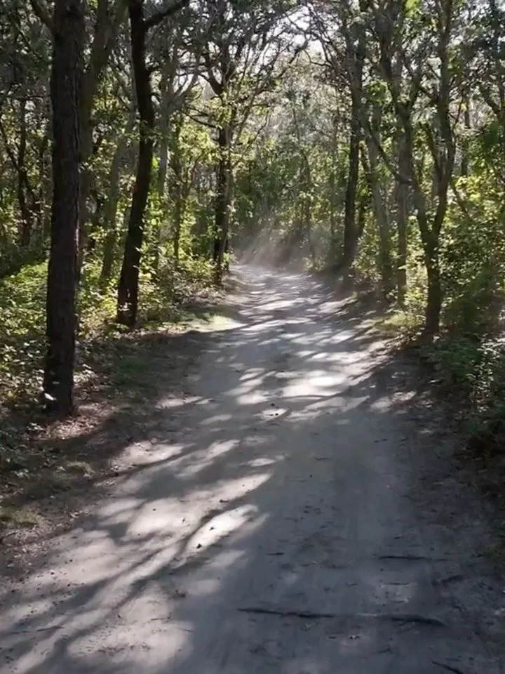 Guests were led through winding, tree-lined paths to a clearing on the edge of Great Island for T&amp;G&rsquo;s sunset ceremony.

I&rsquo;m endlessly inspired by couples who curate immersive experiences for their loved ones&mdash;choosing spaces that