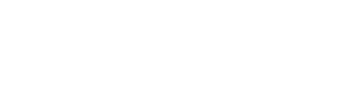 Brave.png