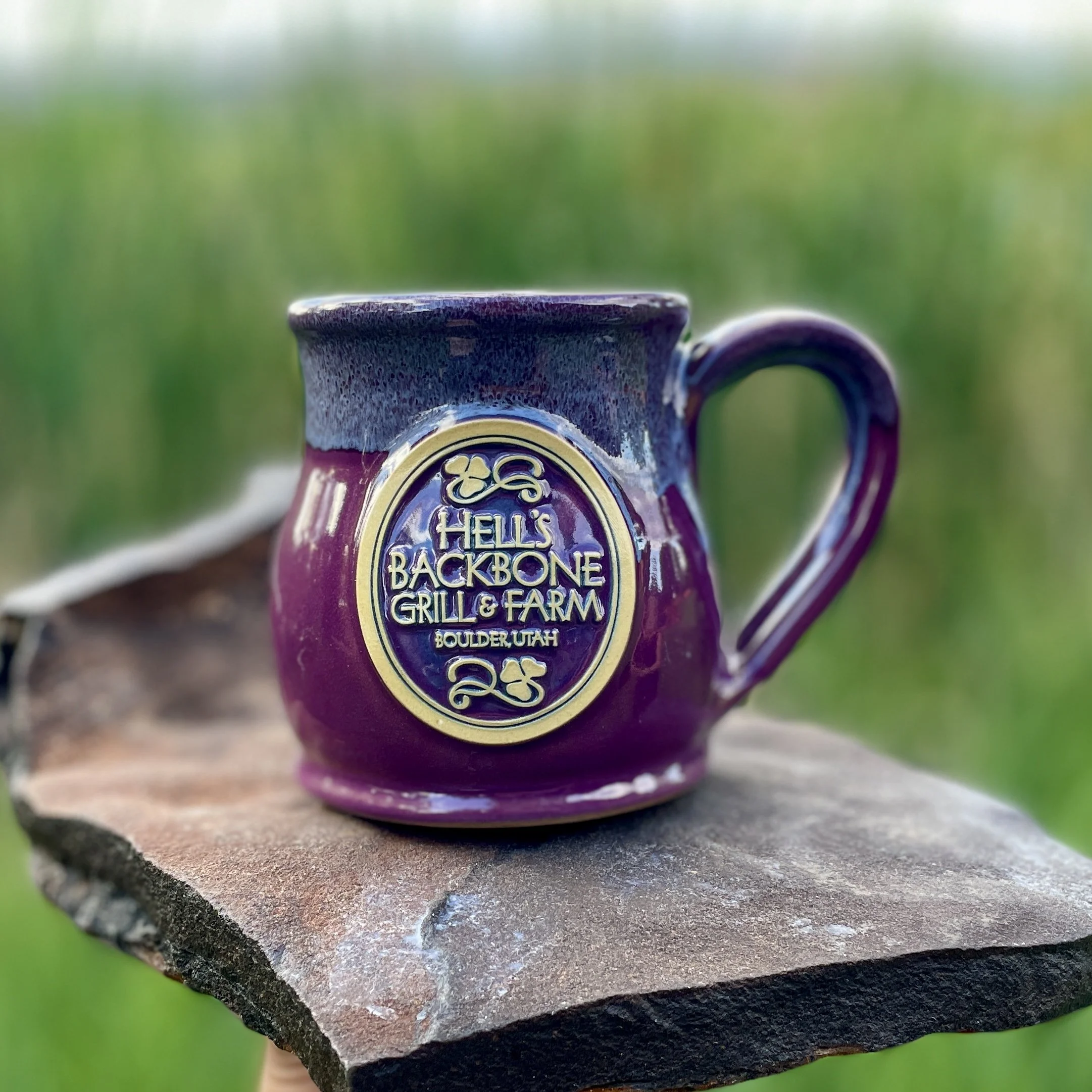 HBG round belly mug Purple.jpg