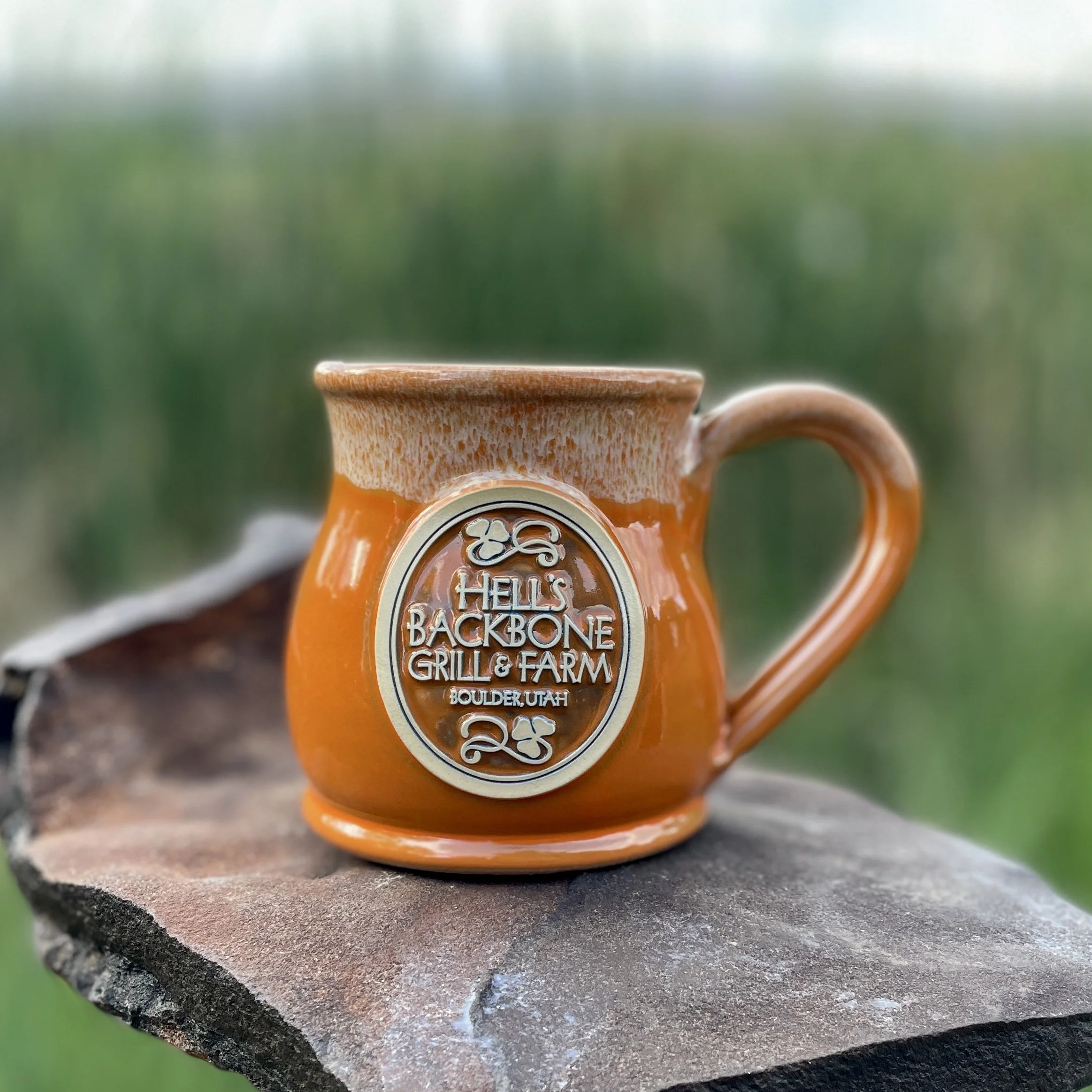 HBG round belly mug Orange.jpg
