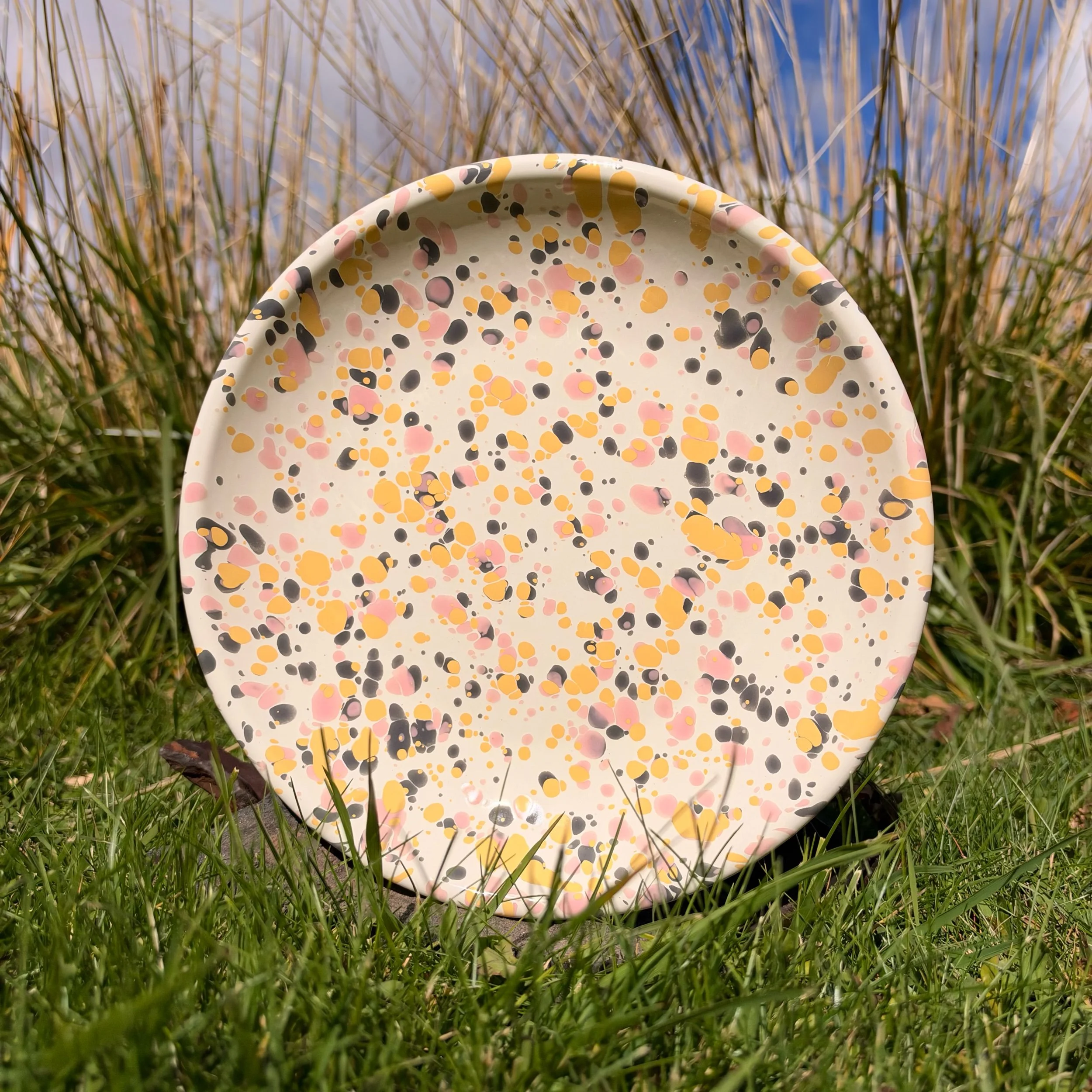 Crow Canyon Enamelware Dinner Plate