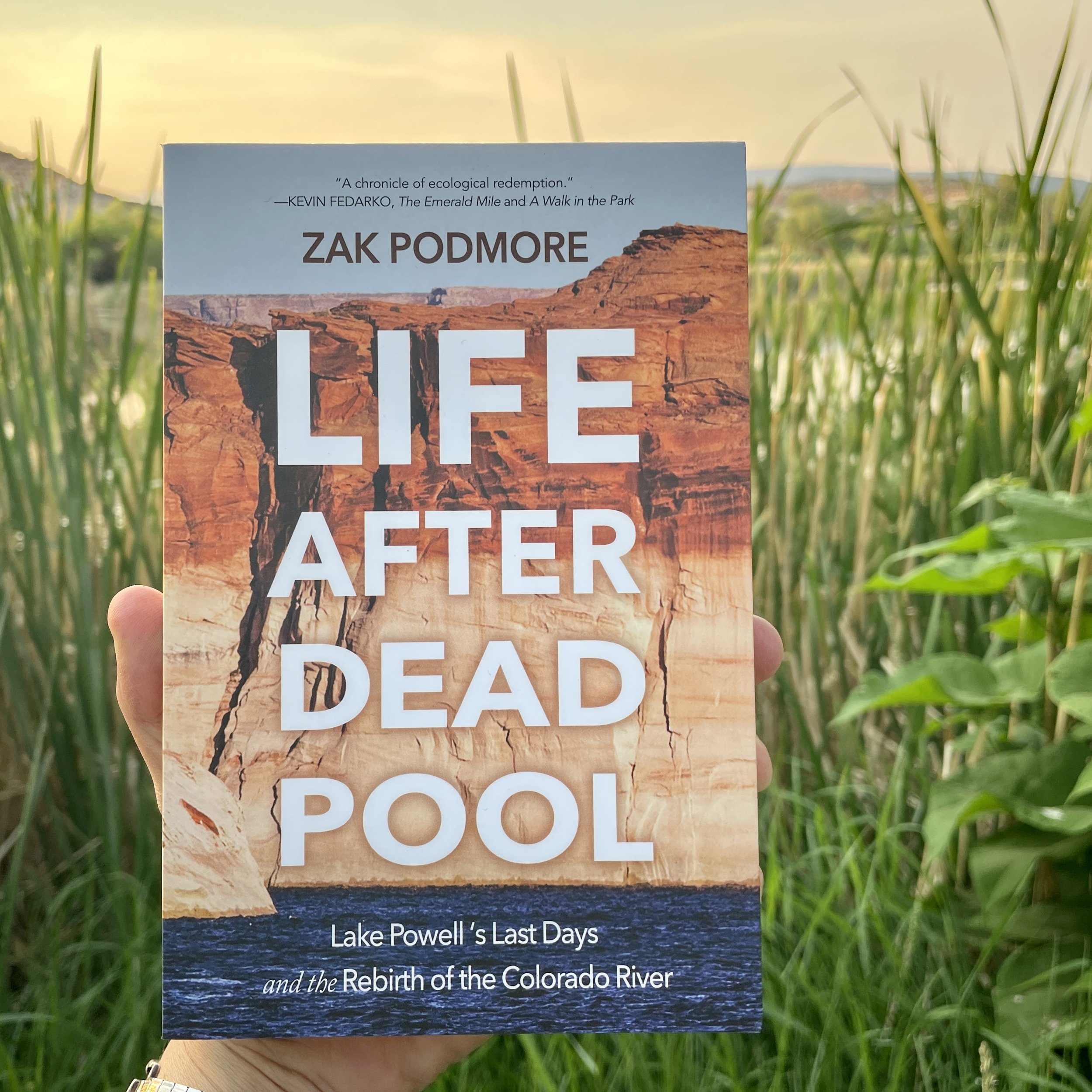 Life After Dead Pool.jpeg