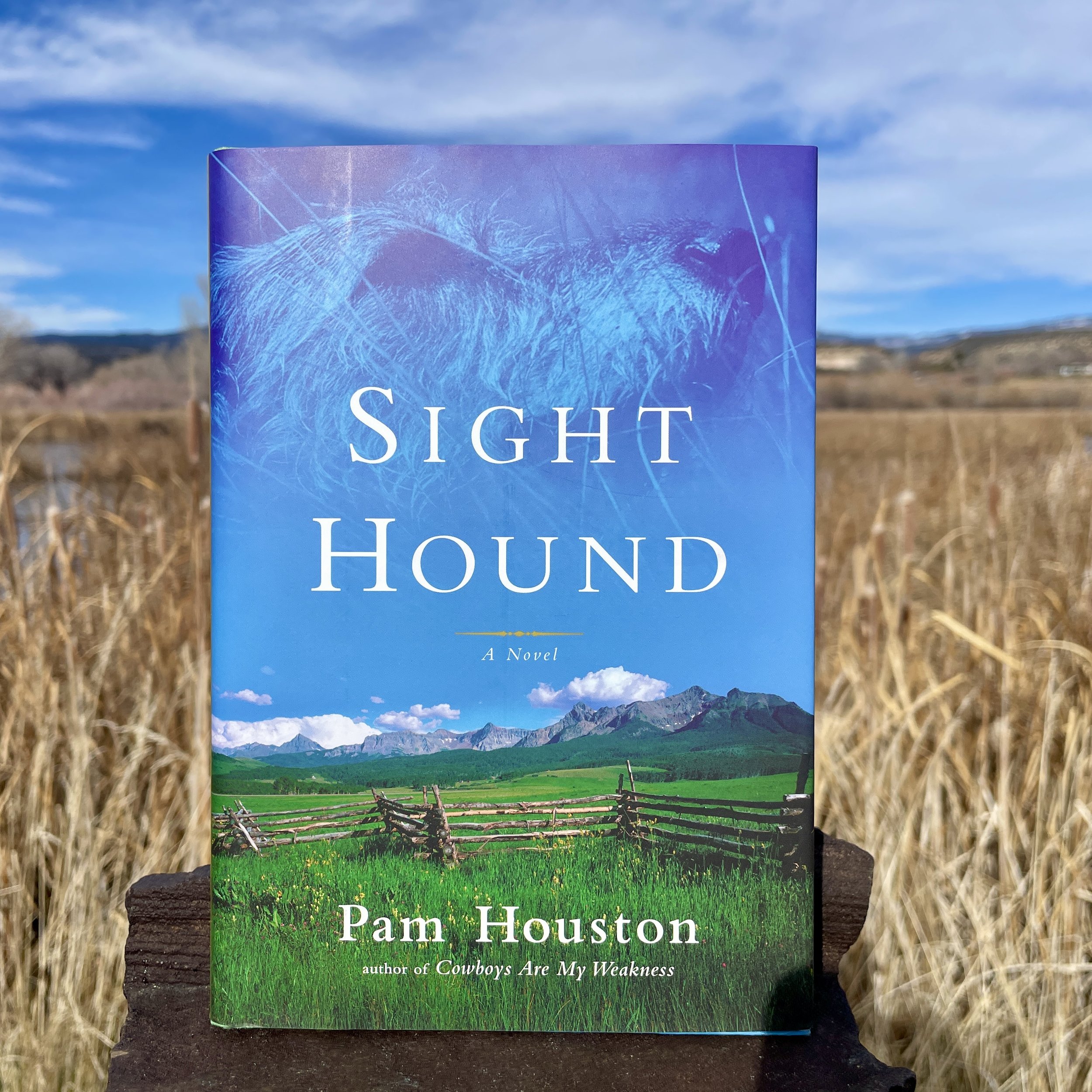 sight hound FRONT Pam Houston.jpg