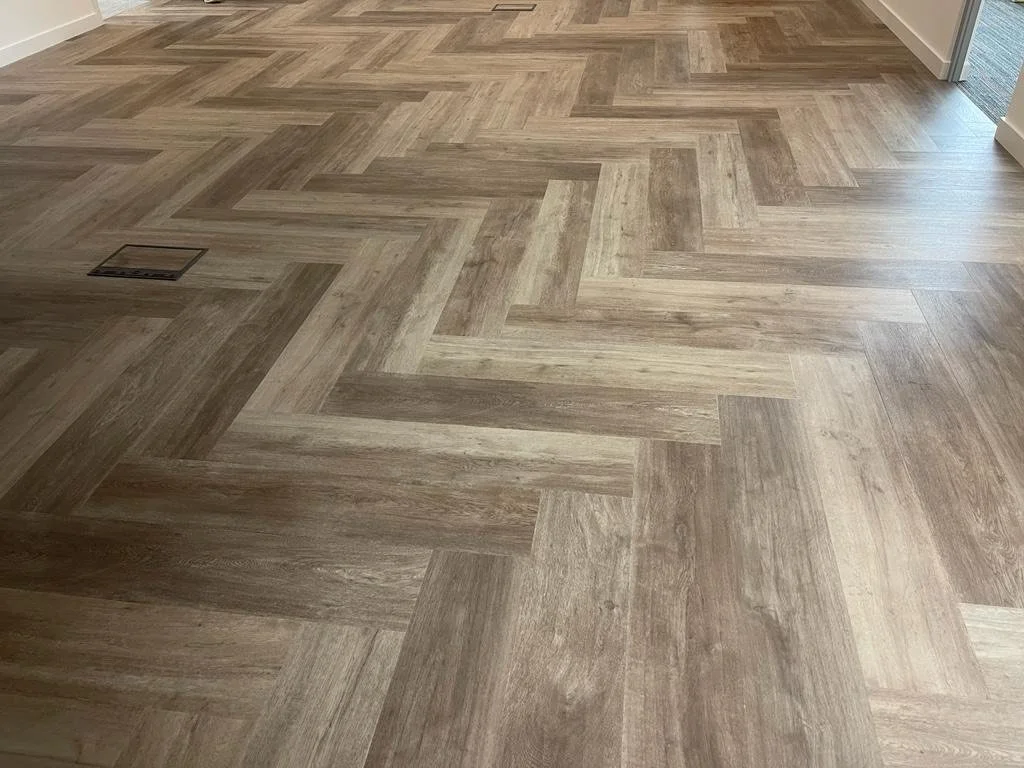 image_6483441 (9).JPG