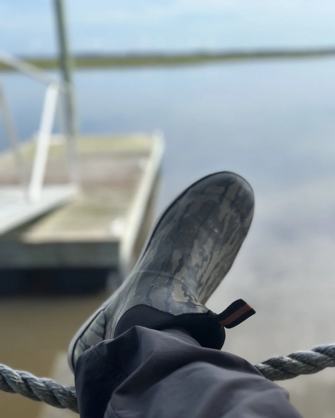 Love living on the salt line. Dolphins and sharks, alligators and gars all in the same place at the same time!