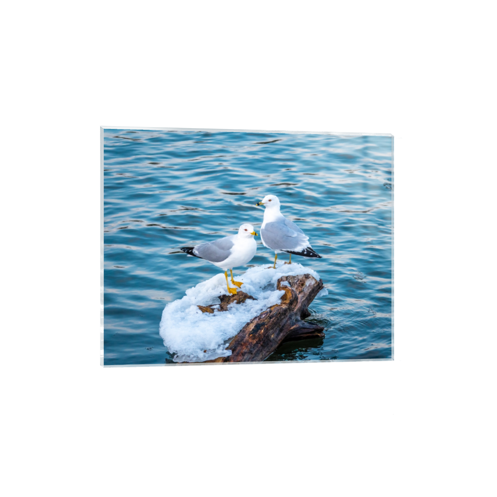 acrylicprint_rectangle4_5_456_0_4560_3648_0_false_ffffff_0_0.png