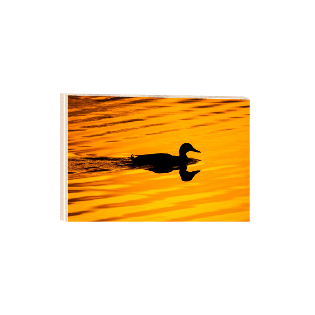 woodprint_rectangle2_3_0_0_5121_3414_0_false_ffffff_0_0.png