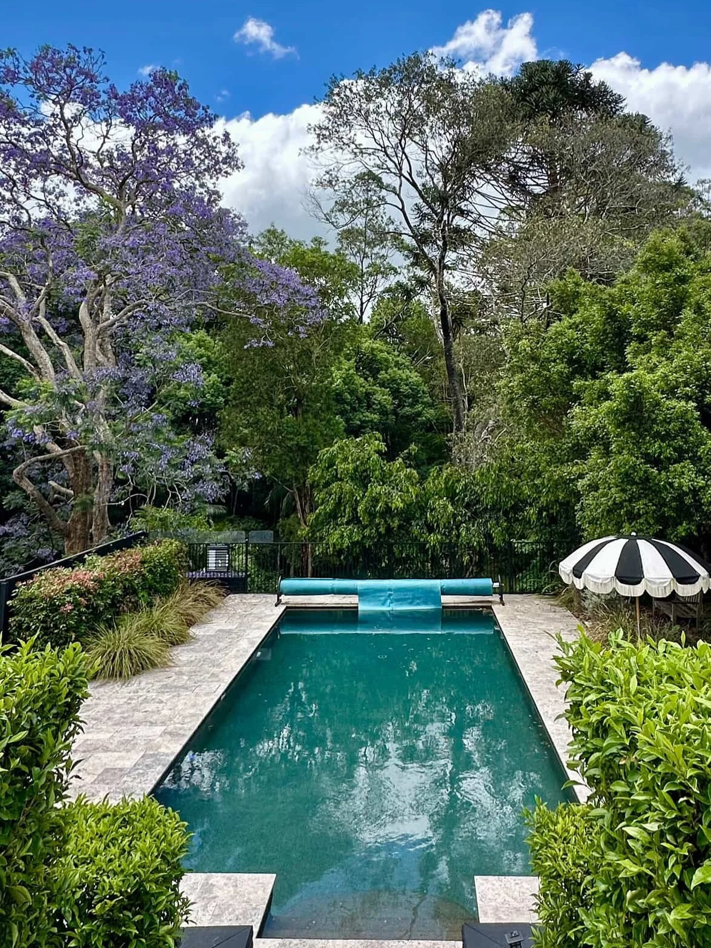 When deciding where to stay in Maleny pick the place with the best pool 🏖️🥂

Big thanks to @sunshinebrides for capturing the Jacaranda and poolside vibes 🌴💜

#maleny #malenyweddings #malenyaccommodation #malenyhotel #boutiquehotels #hotelpool #be