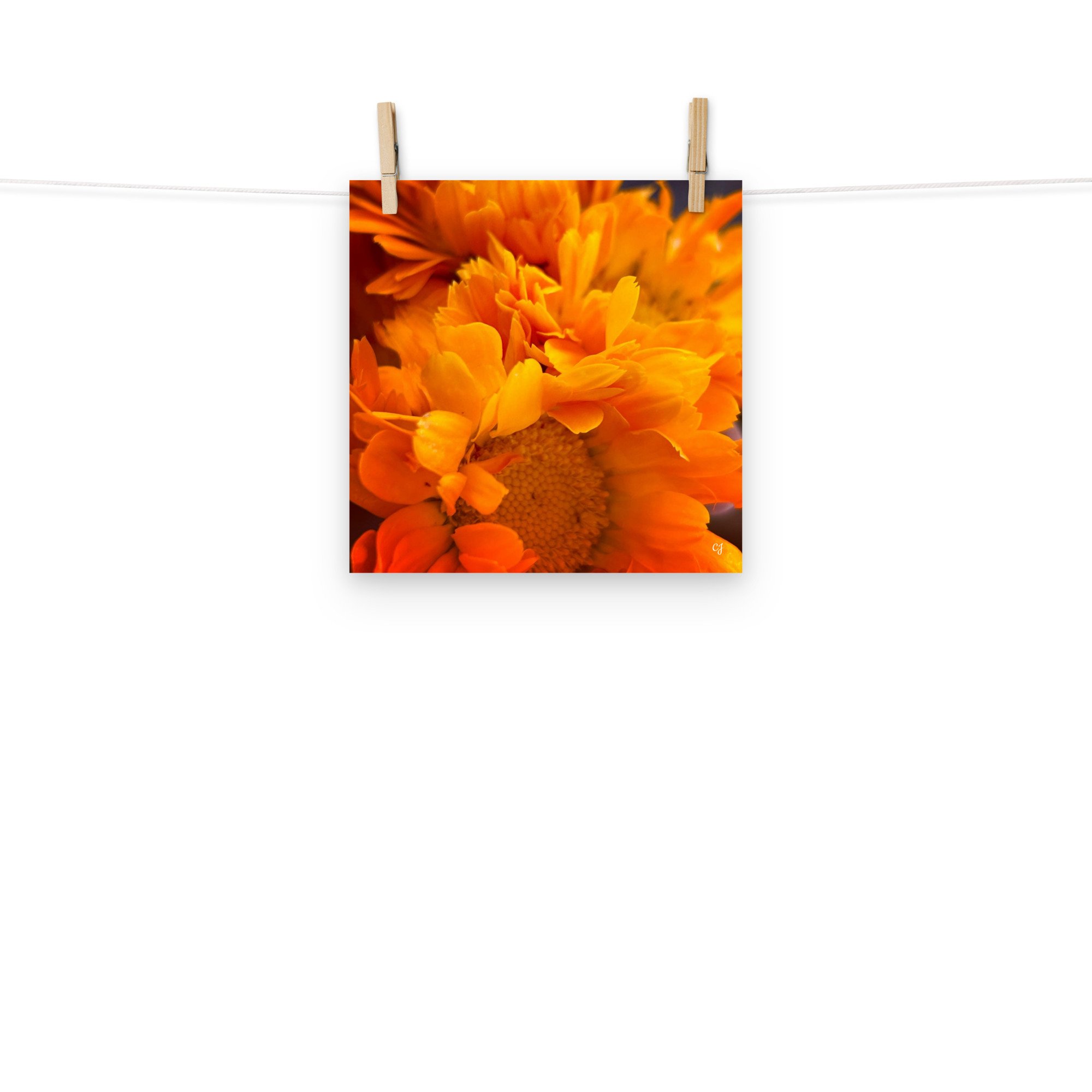 premium-luster-photo-paper-poster-(in)-10x10-front-656cc647ae677.jpg