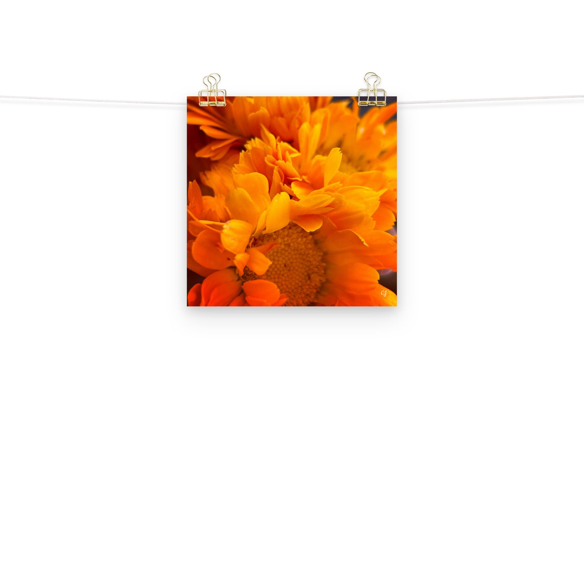 premium-luster-photo-paper-poster-(in)-10x10-front-2-656cc647ae6e3.jpg