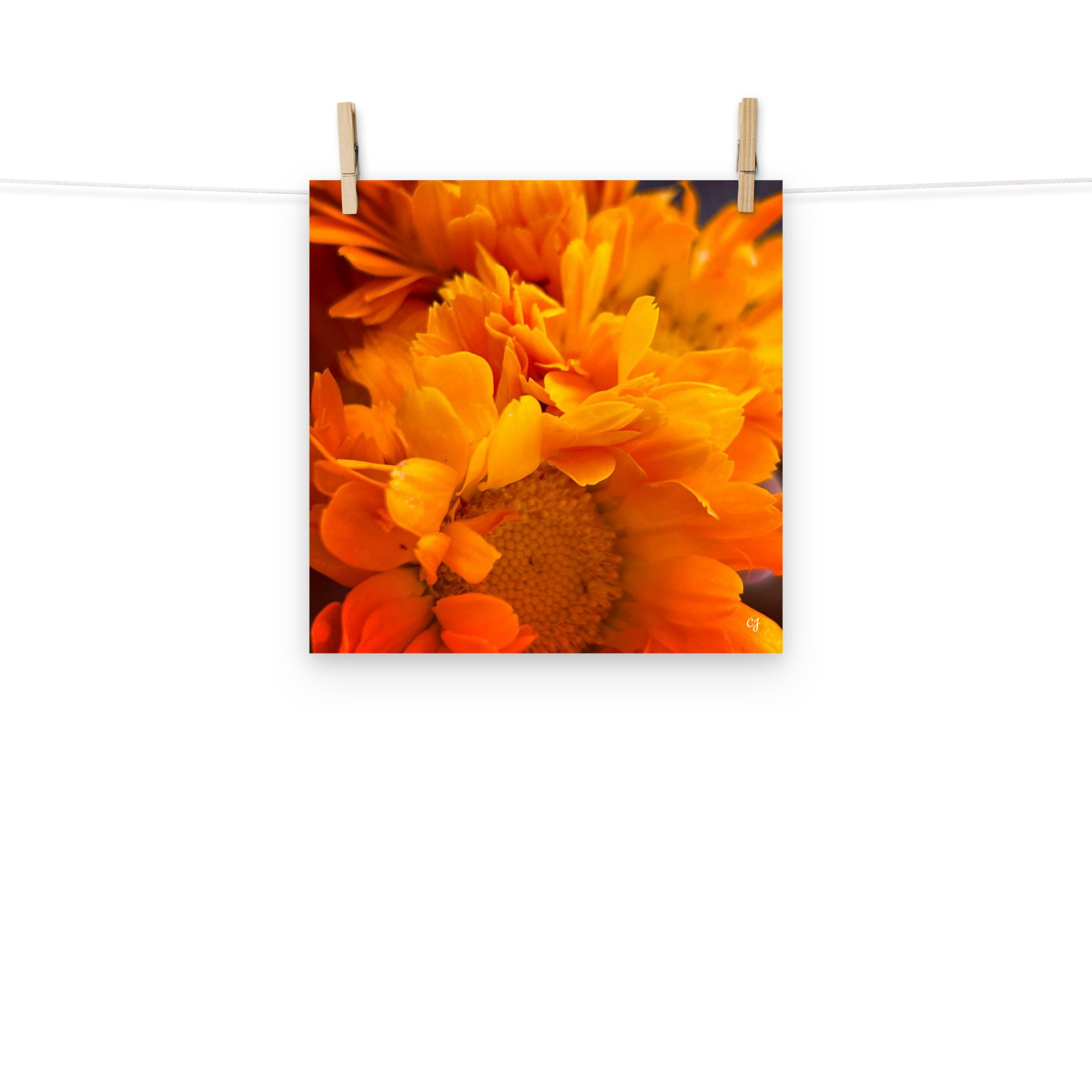 premium-luster-photo-paper-poster-(in)-12x12-front-656cc647ae82e.jpg