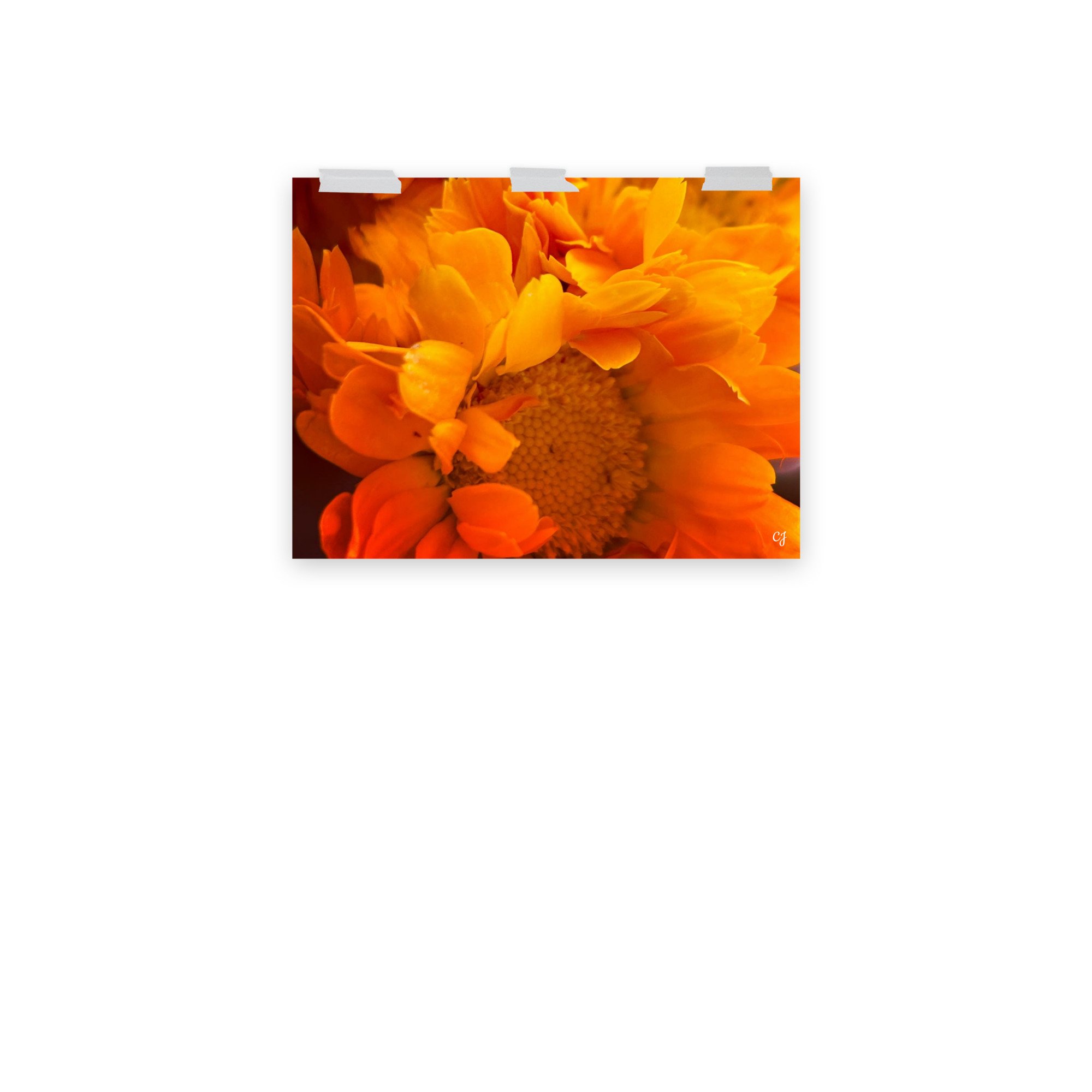 premium-luster-photo-paper-poster-(in)-18x24-front-3-656cc647aeaa7.jpg