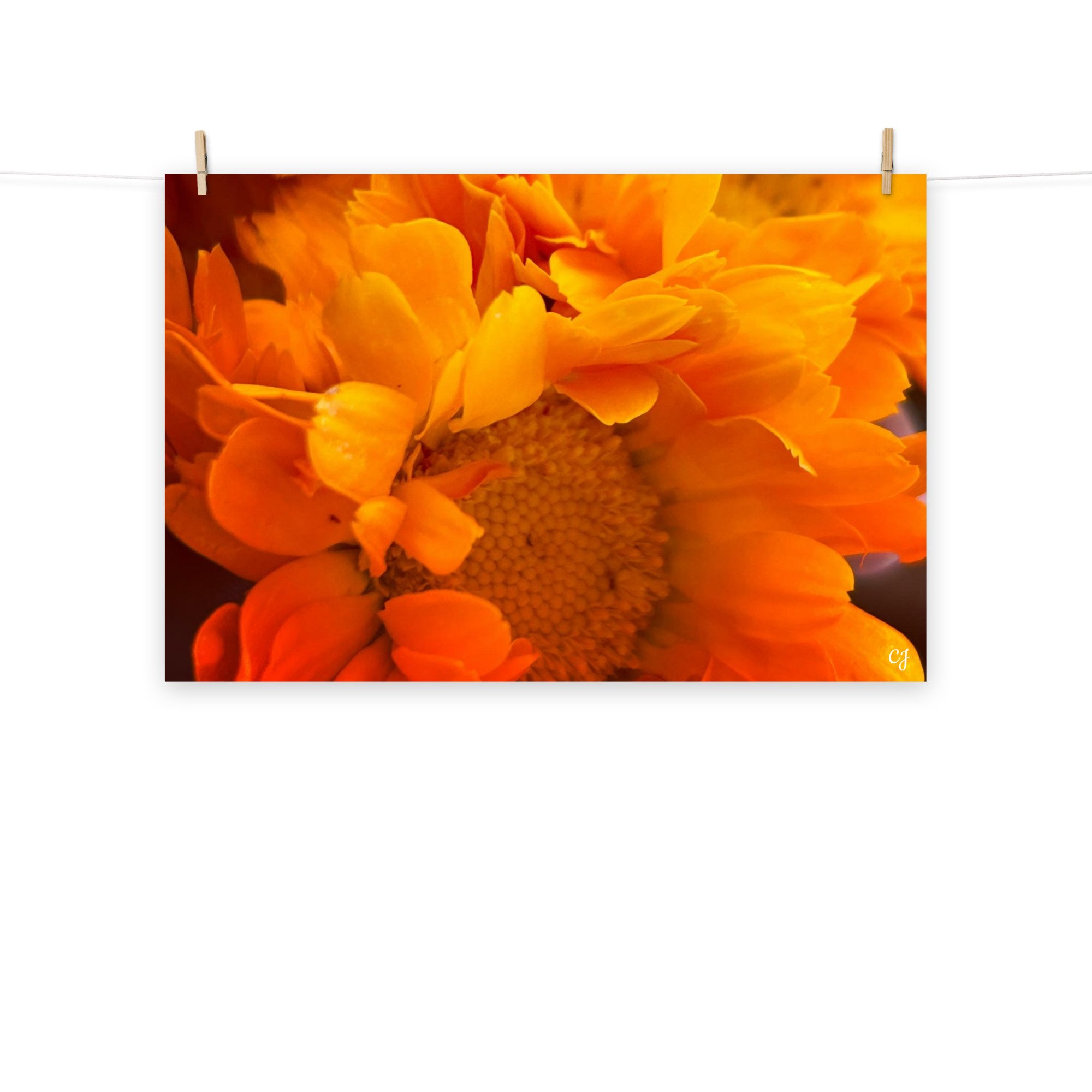 premium-luster-photo-paper-poster-(in)-24x36-front-656cc647aeb19.jpg
