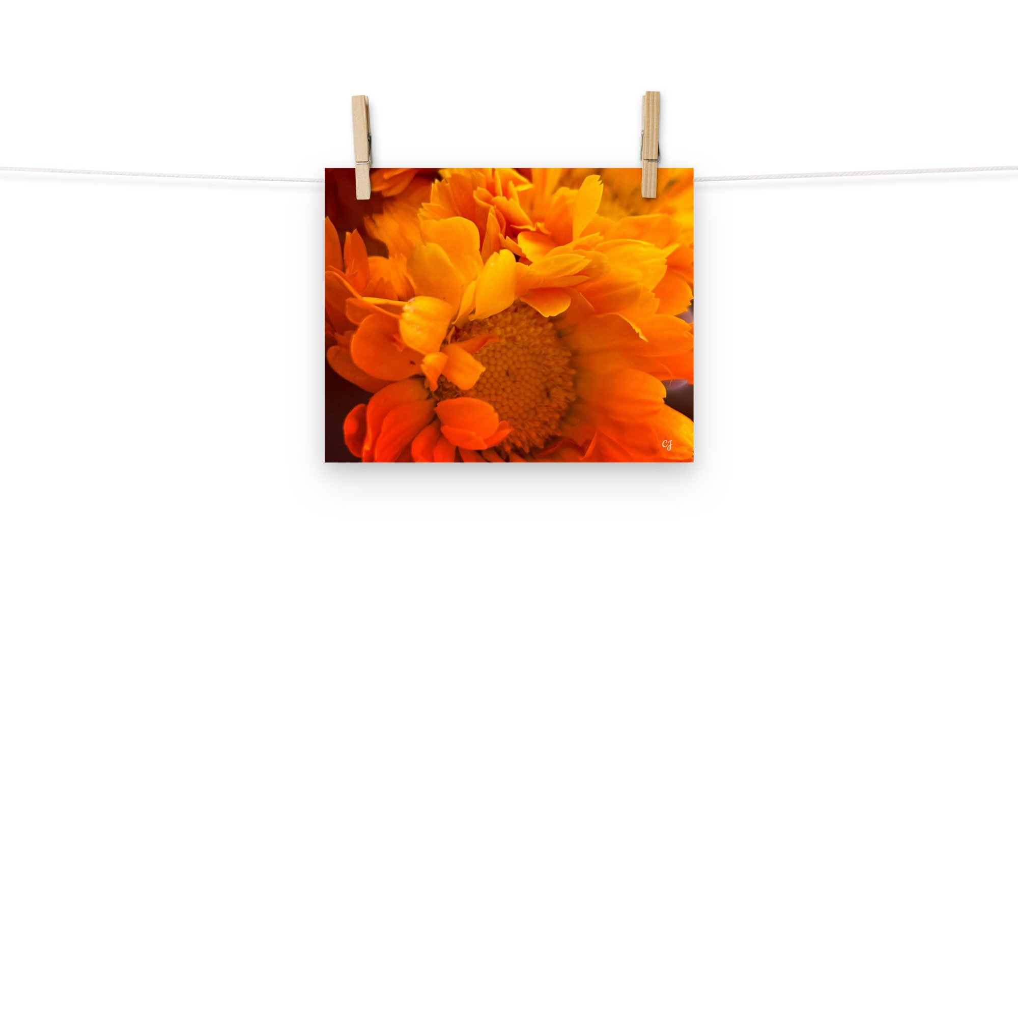 premium-luster-photo-paper-poster-(in)-8x10-front-656cc647aec02.jpg