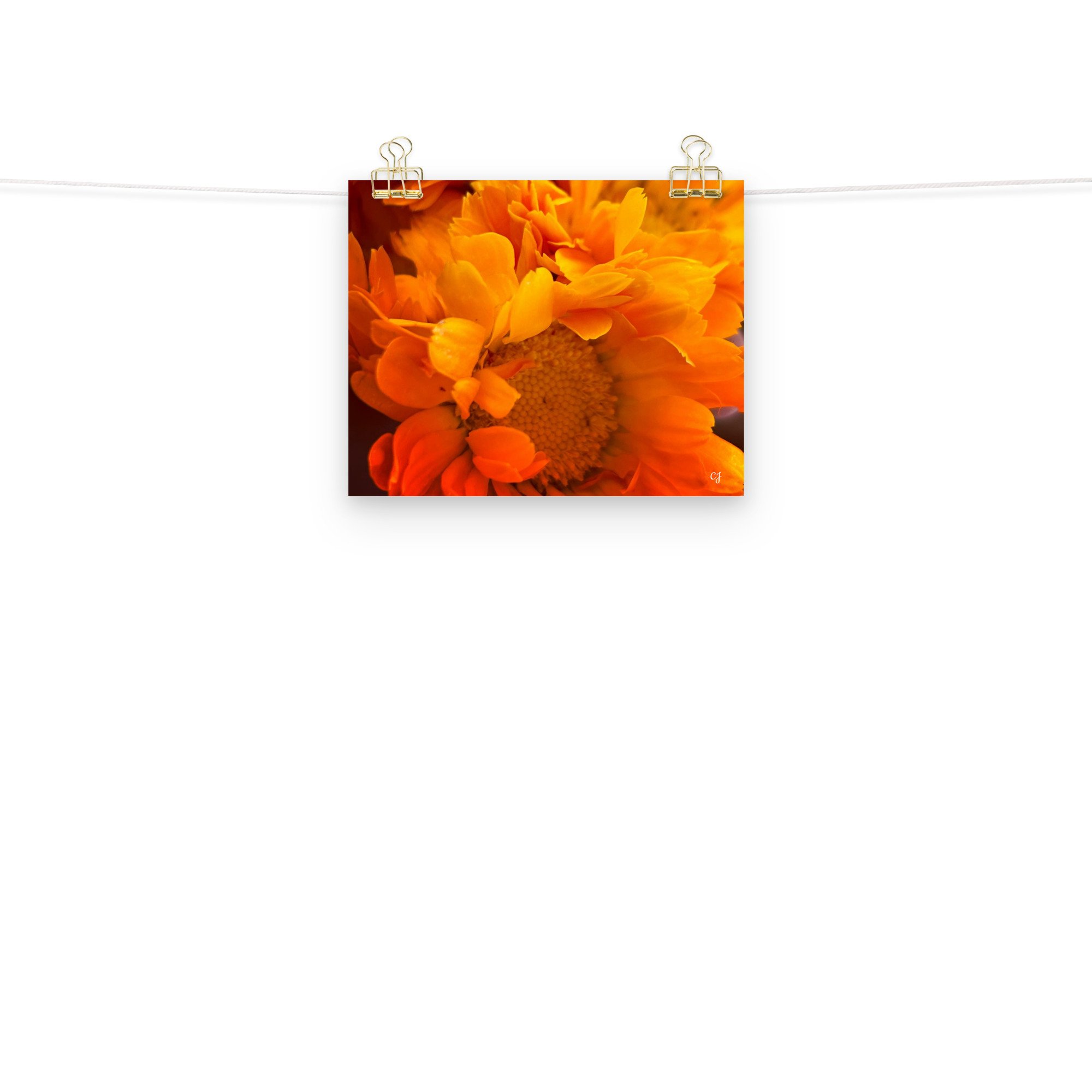 premium-luster-photo-paper-poster-(in)-8x10-front-2-656cc647aec60.jpg
