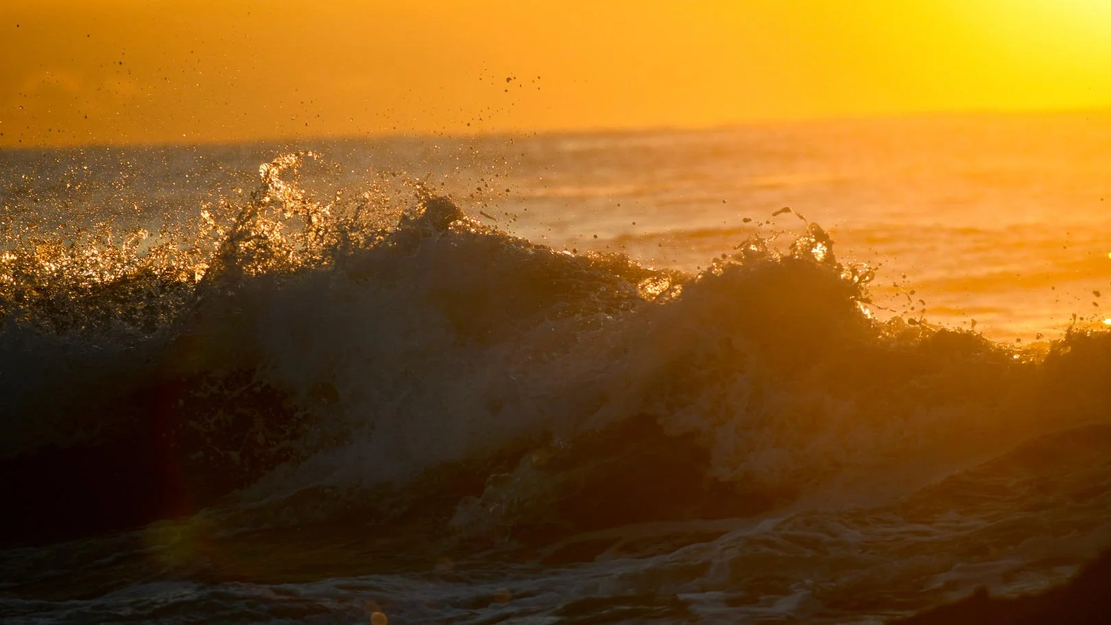 Wave breaking at high shutter speed to capture particles of wave breaking on a south coast of nsw beach during sunrise