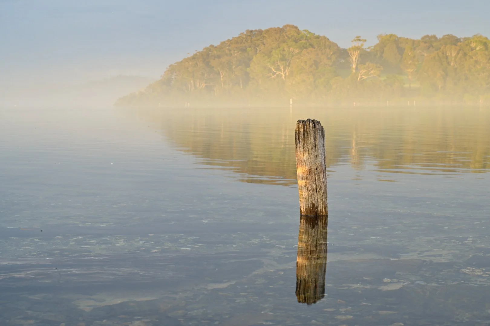 The Lonely Pole