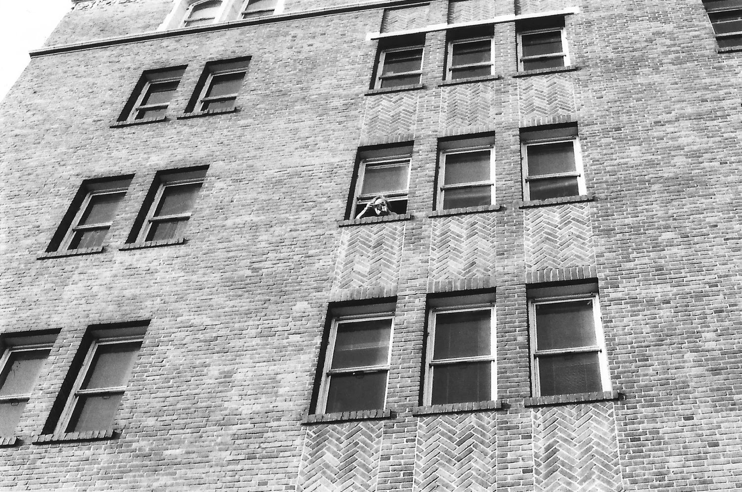 Women's march 2017 web-18.jpg