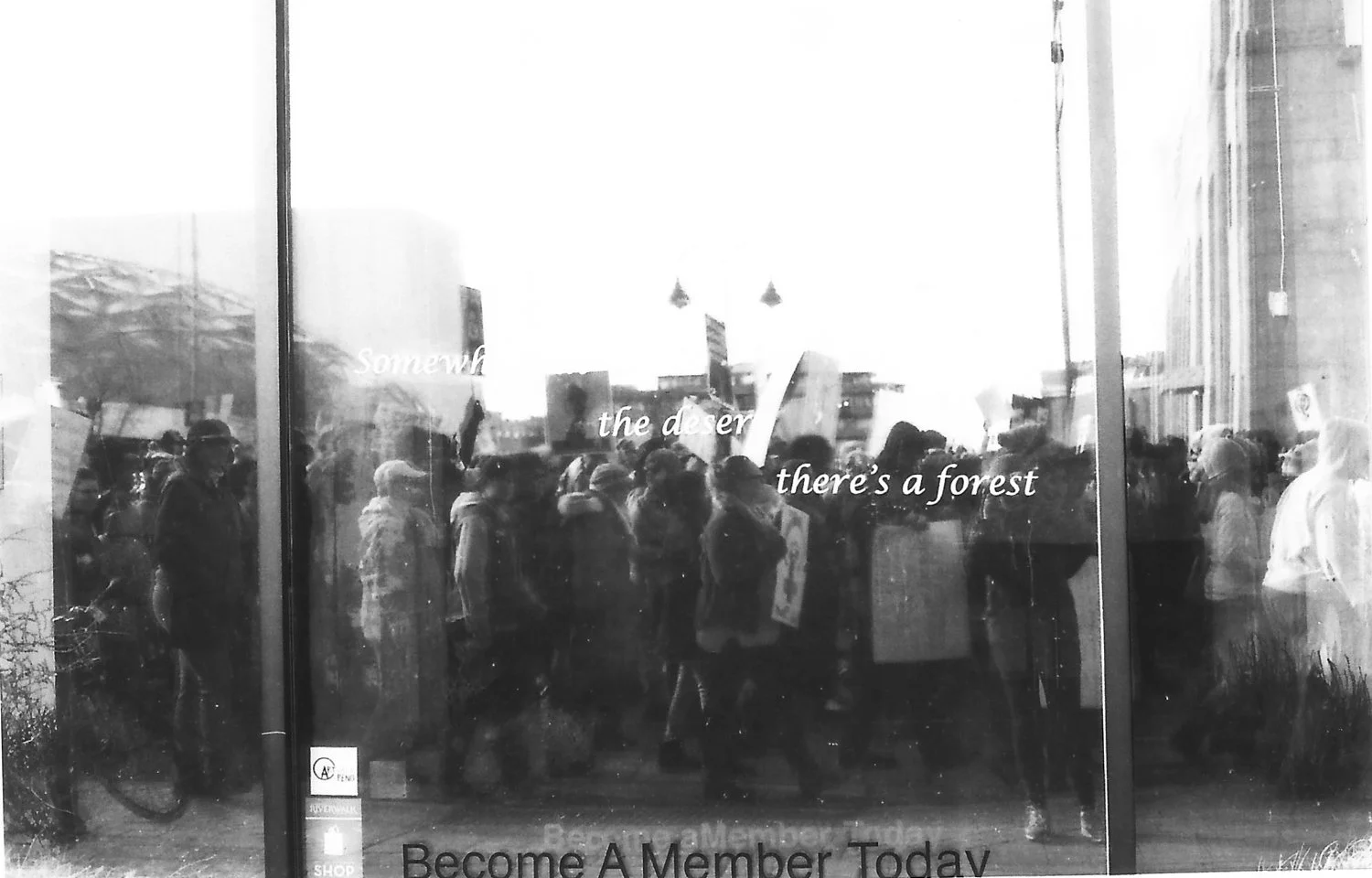 Women's march 2017 web-17.jpg