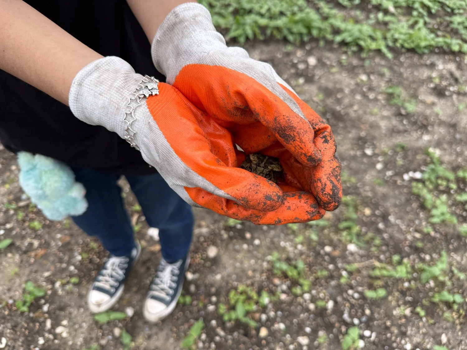 Cultivating Connection: Finca Tres Robles