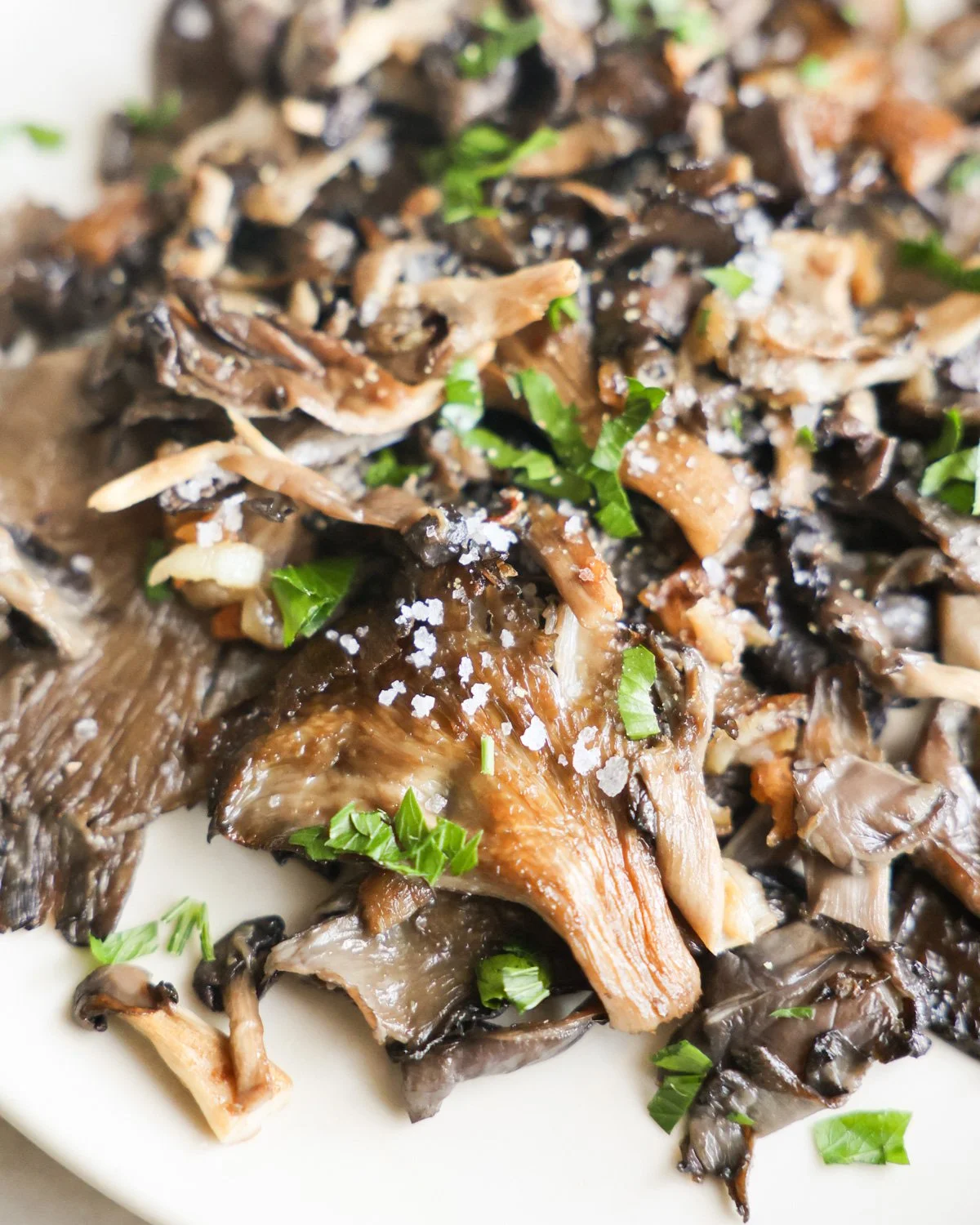 The Best Pan-Fried Oyster Mushroom Recipe