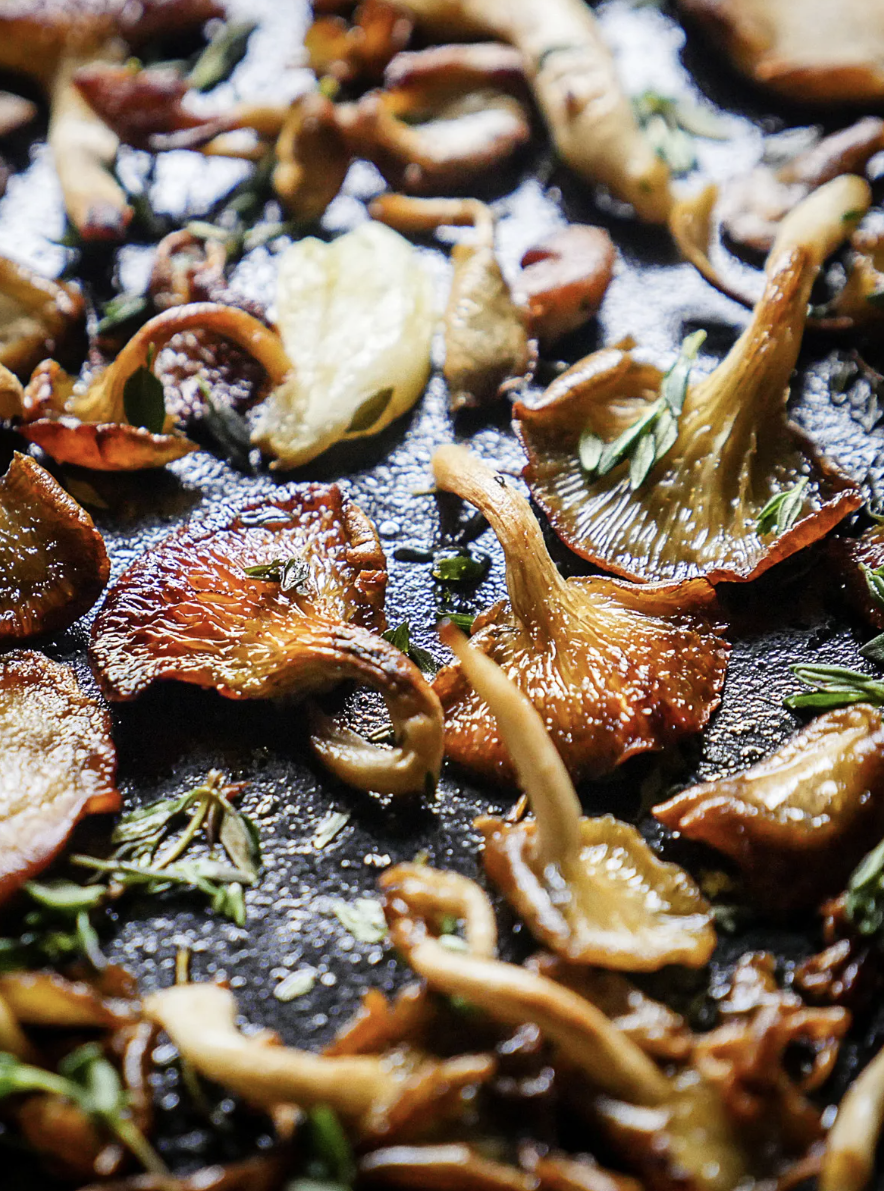 Pan Fried Oyster Mushrooms