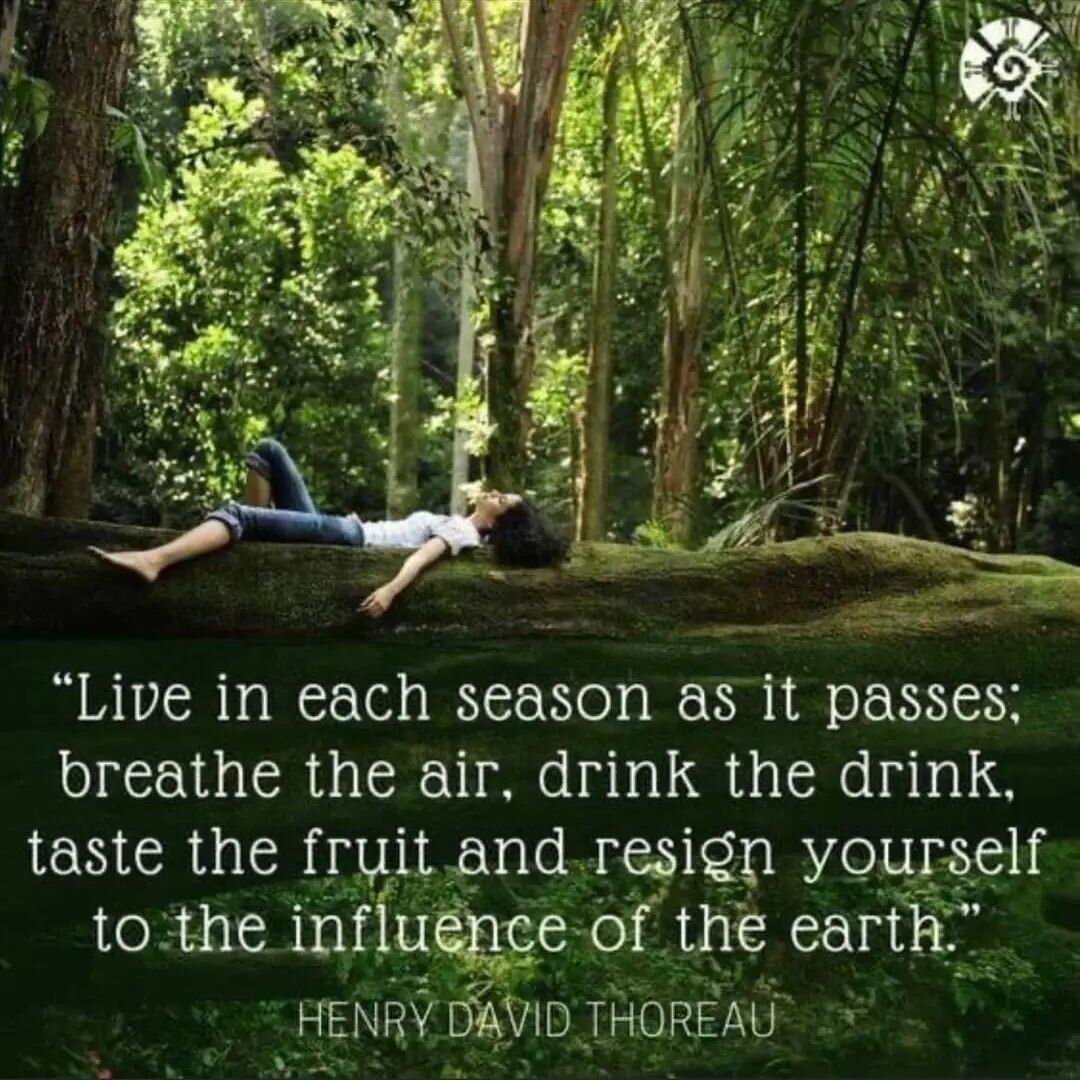 Live each season as it passes... @ravensnestsaltroom @treeoflifeshoppe.ig @everyone