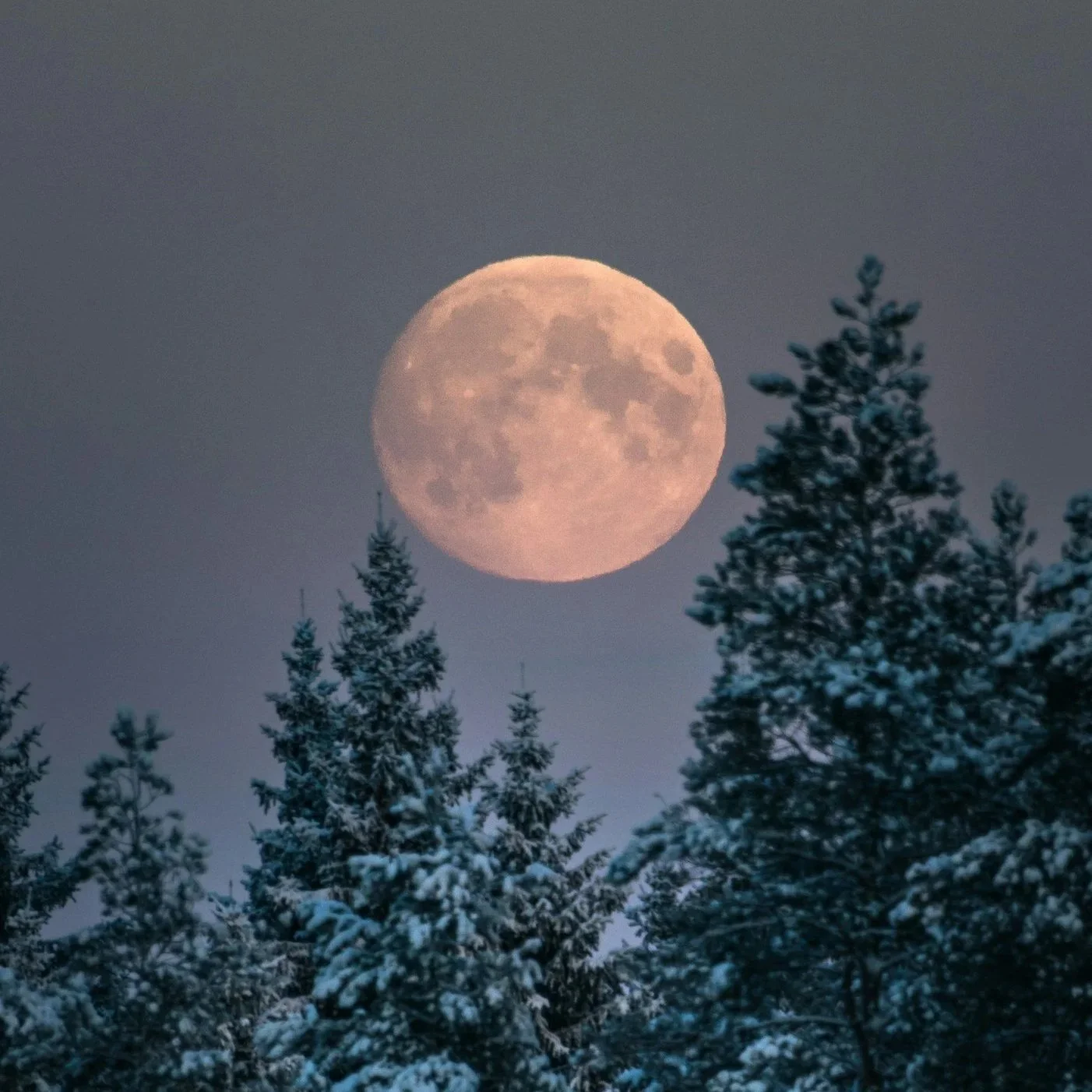 Moon News: February Full Snow Moon