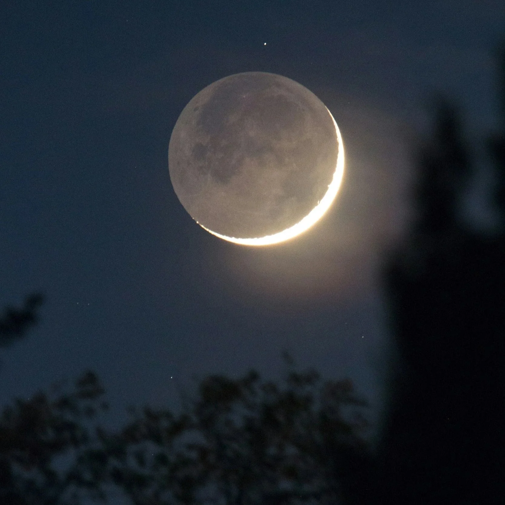 Moon News: February New Moon in Pisces