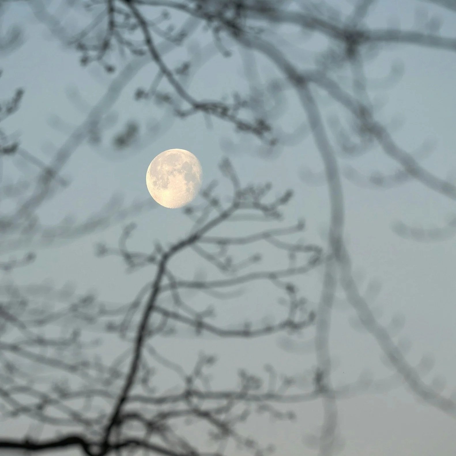 Moon News: March New Moon and Partial Solar Eclipse