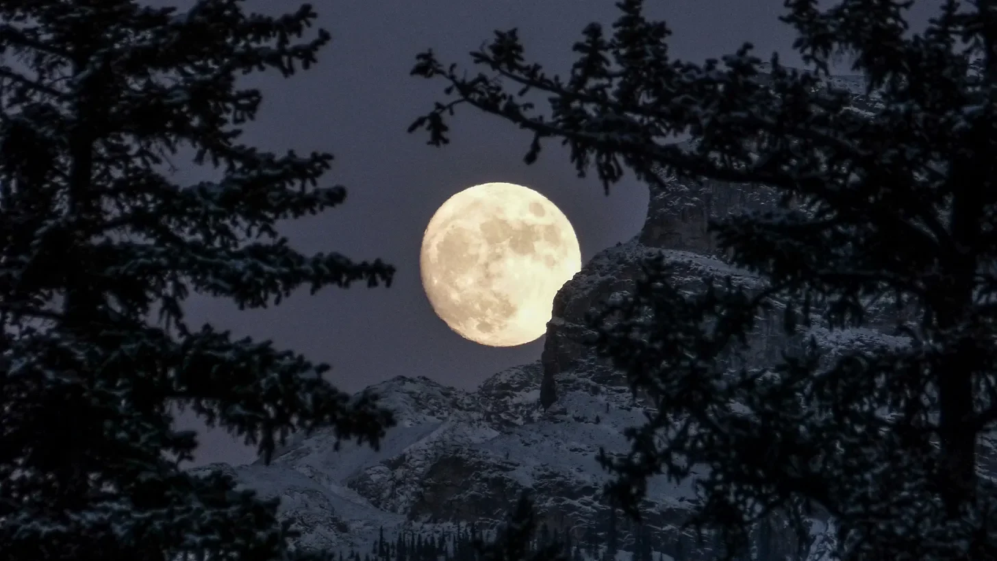 Snow Moon, February 1st 2026: Resistance is Witchcraft is Resistance