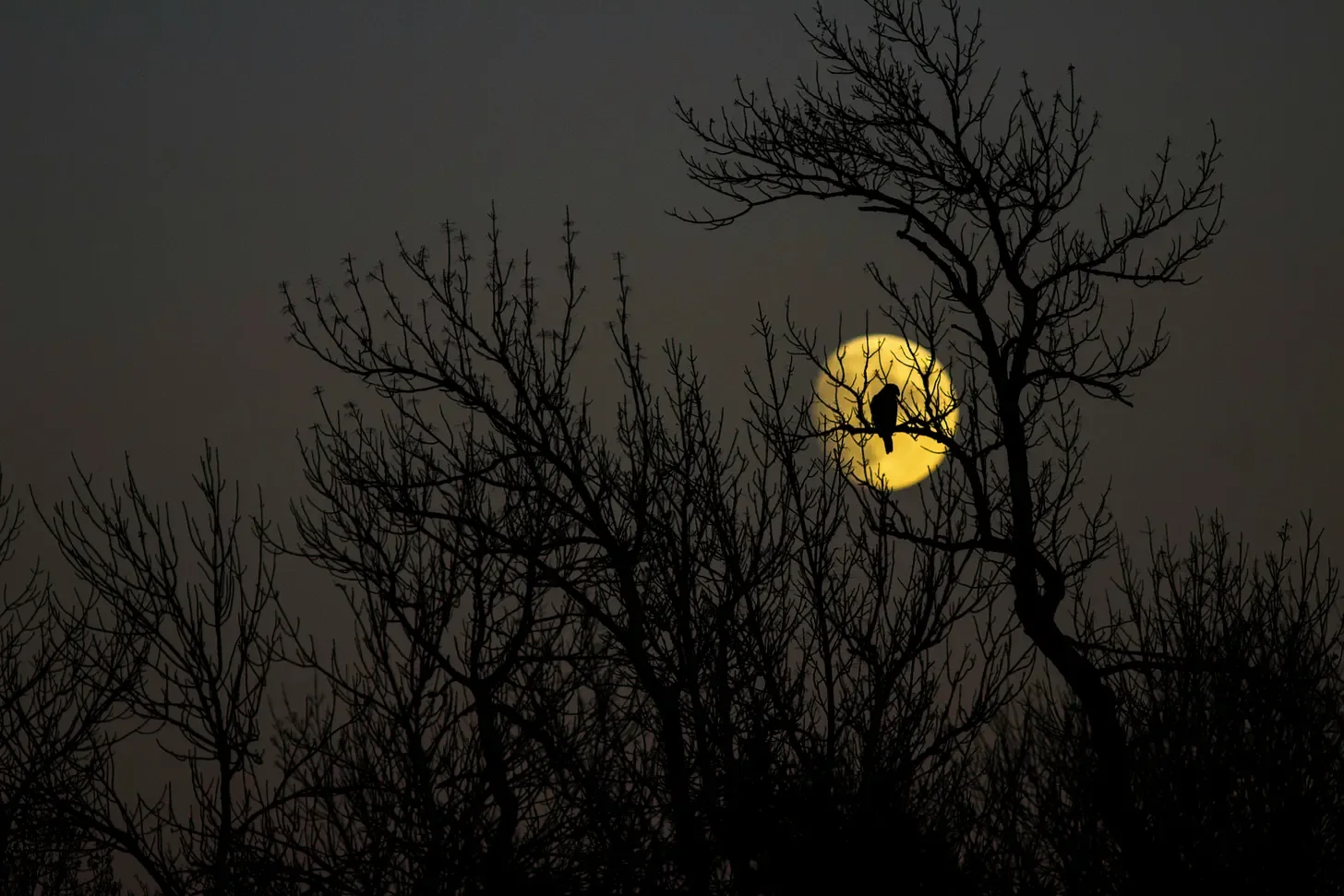 Moon News: September 2026