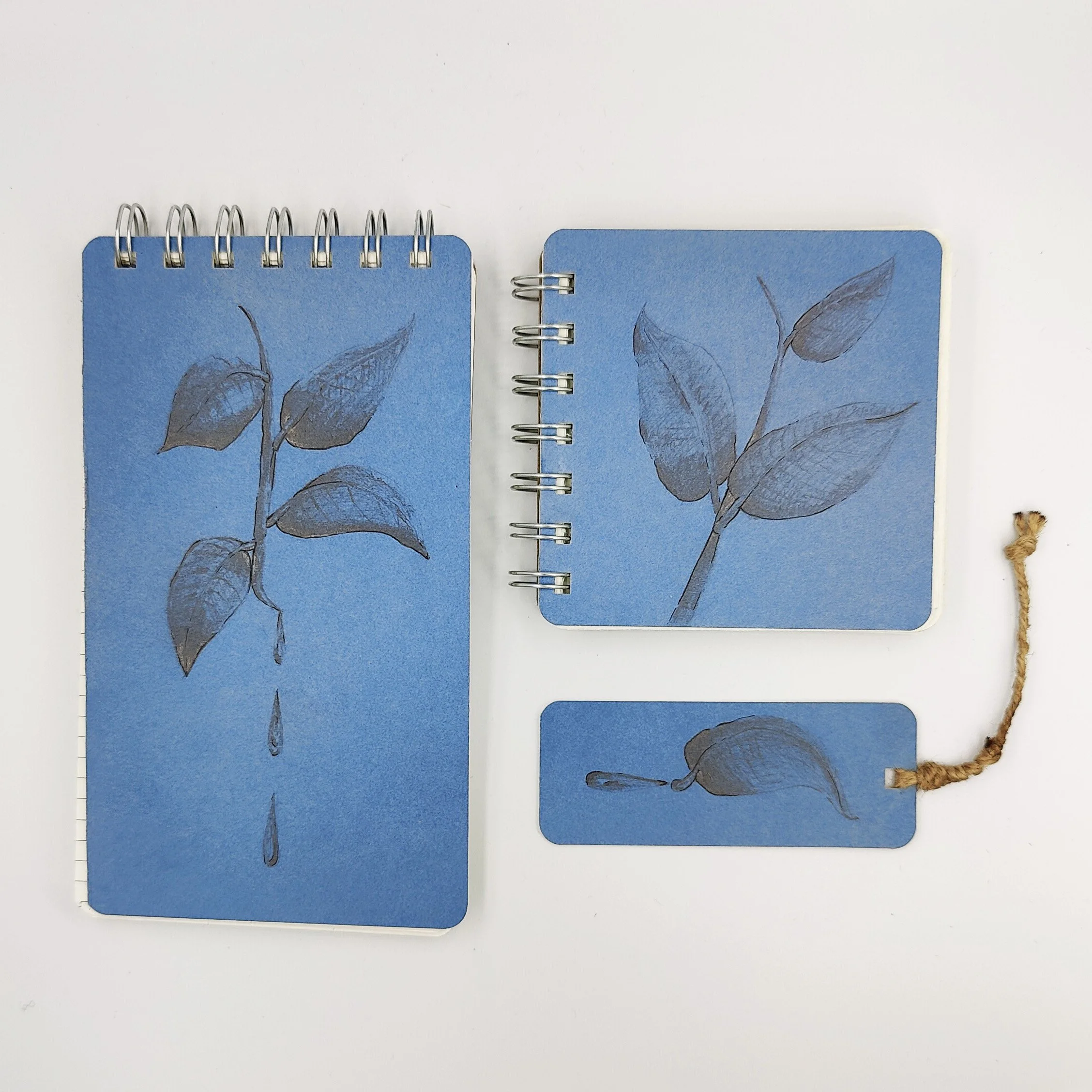 Blue Sprig Collection1.jpg