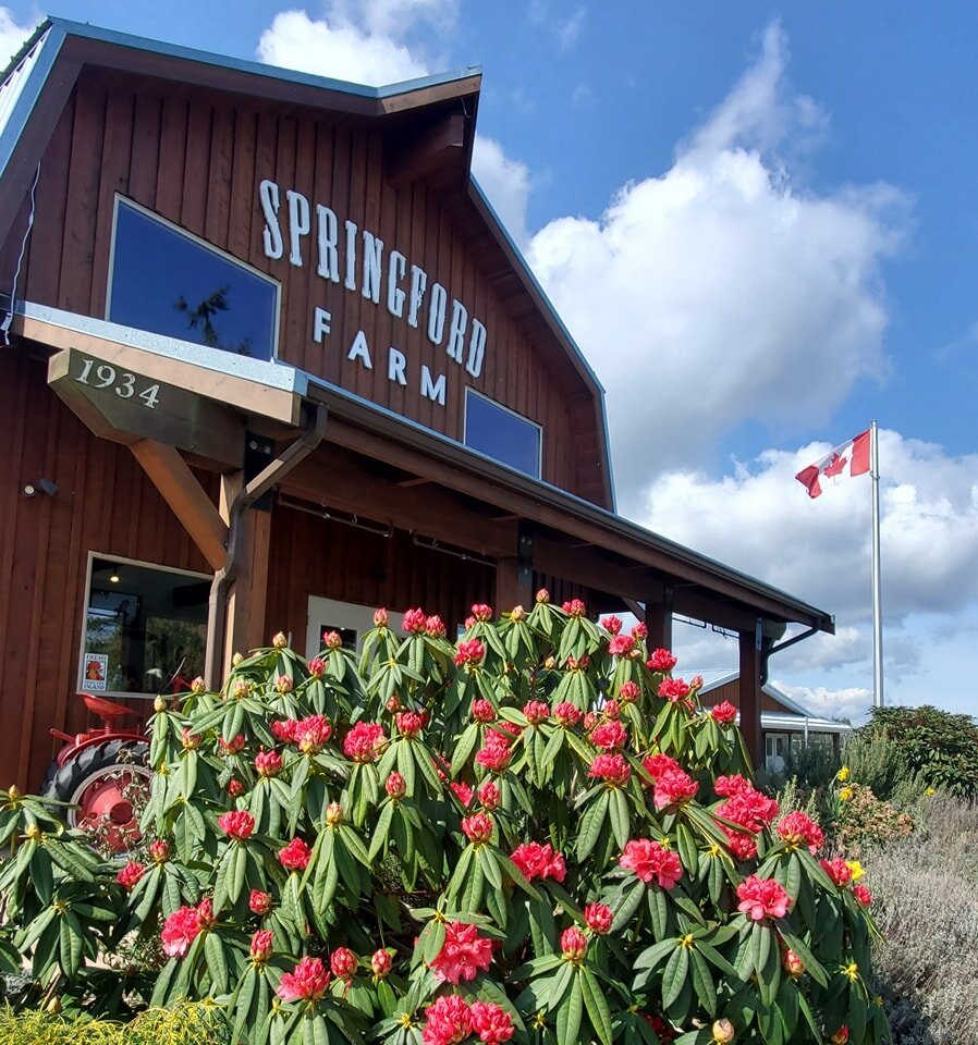 Happy Canada Day! 🇨🇦 

Our farm market is open 10-5 today, come by to say hello to our hens 🐔 and pickup some delicious Island fare! 
 
Wishing everyone a safe and fun long weekend! ❤️