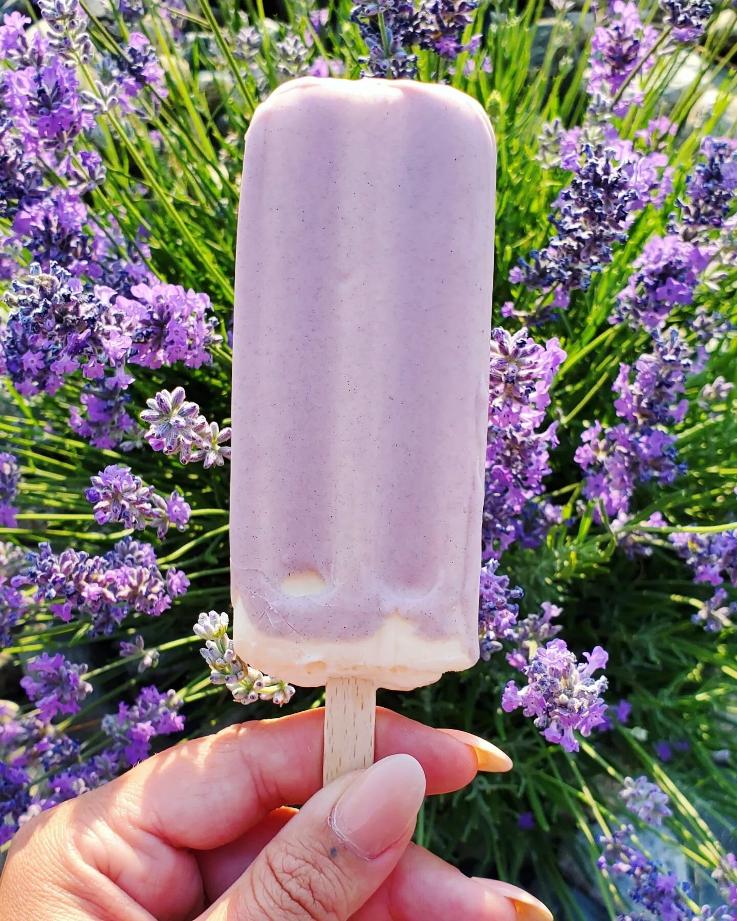 Drop by the market and grab a @hazels.icecream bar to cool off!! ☀ 
 
Their current feature flavour is Lavender, and we're slightly obsessed 🤤💜
 
Other flavours currently available: Cookies &amp; Cream, Coffee Toffee, Sprinkles, Bubblegum, Orange C