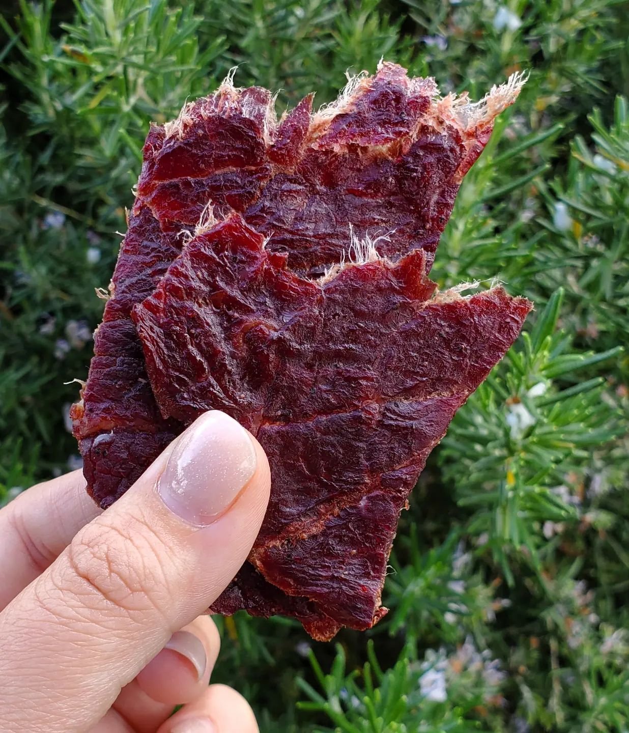 Our signature grass-fed beef jerky is back in stock in all 3 delicious flavours - original, peppercorn, and teriyaki!
 
Have you tried our jerky yet? If so, what's your go-to flavour?? Let us know in the comments below 👇