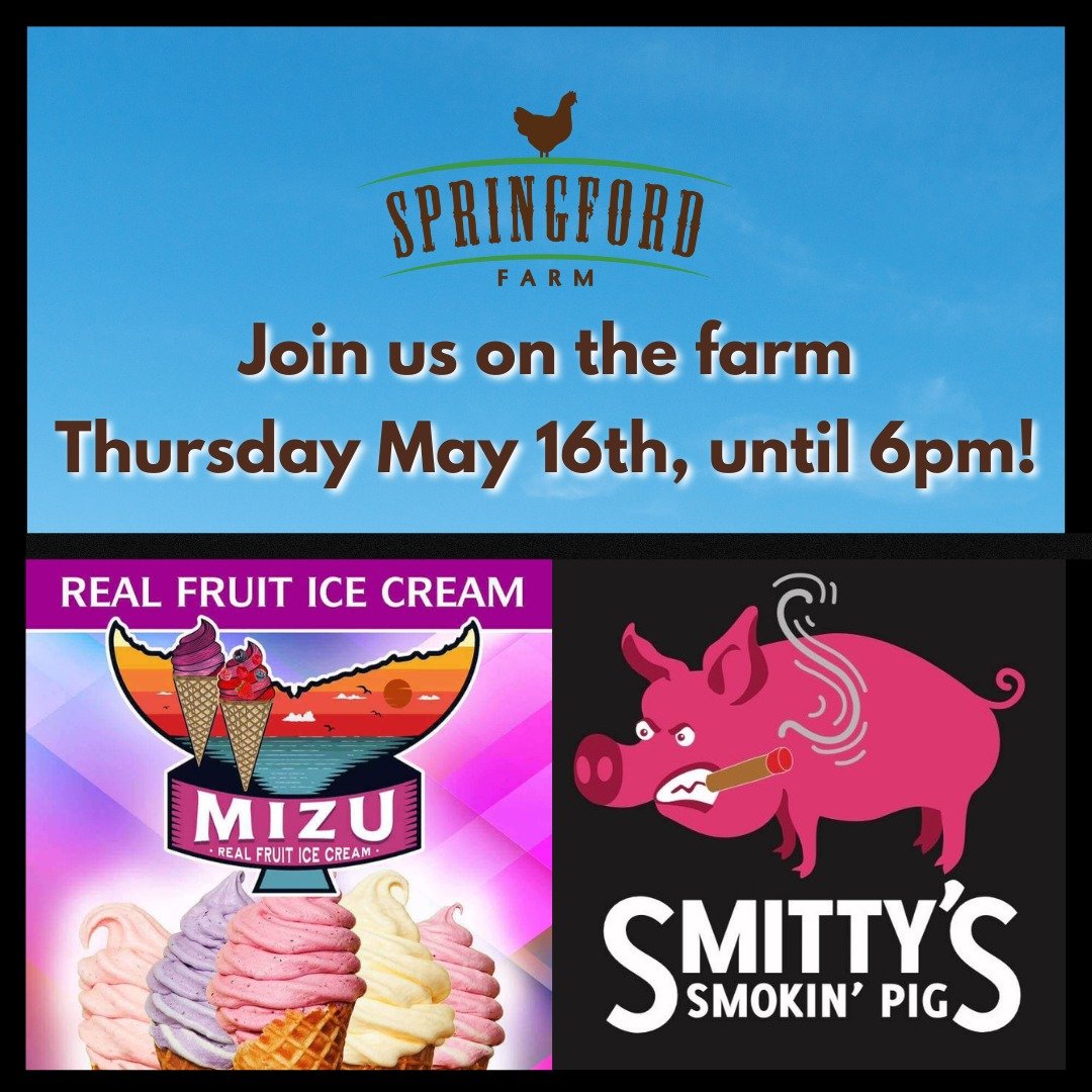 TOMORROW! 🍦🐷 A pairing that we are stoked about - Mizu Real Fruit Ice Cream &amp; Smitty&rsquo;s Smokin&rsquo; Pig 🤤 Join us for fresh, smoky BBQ and sweet New Zealand style ice cream!