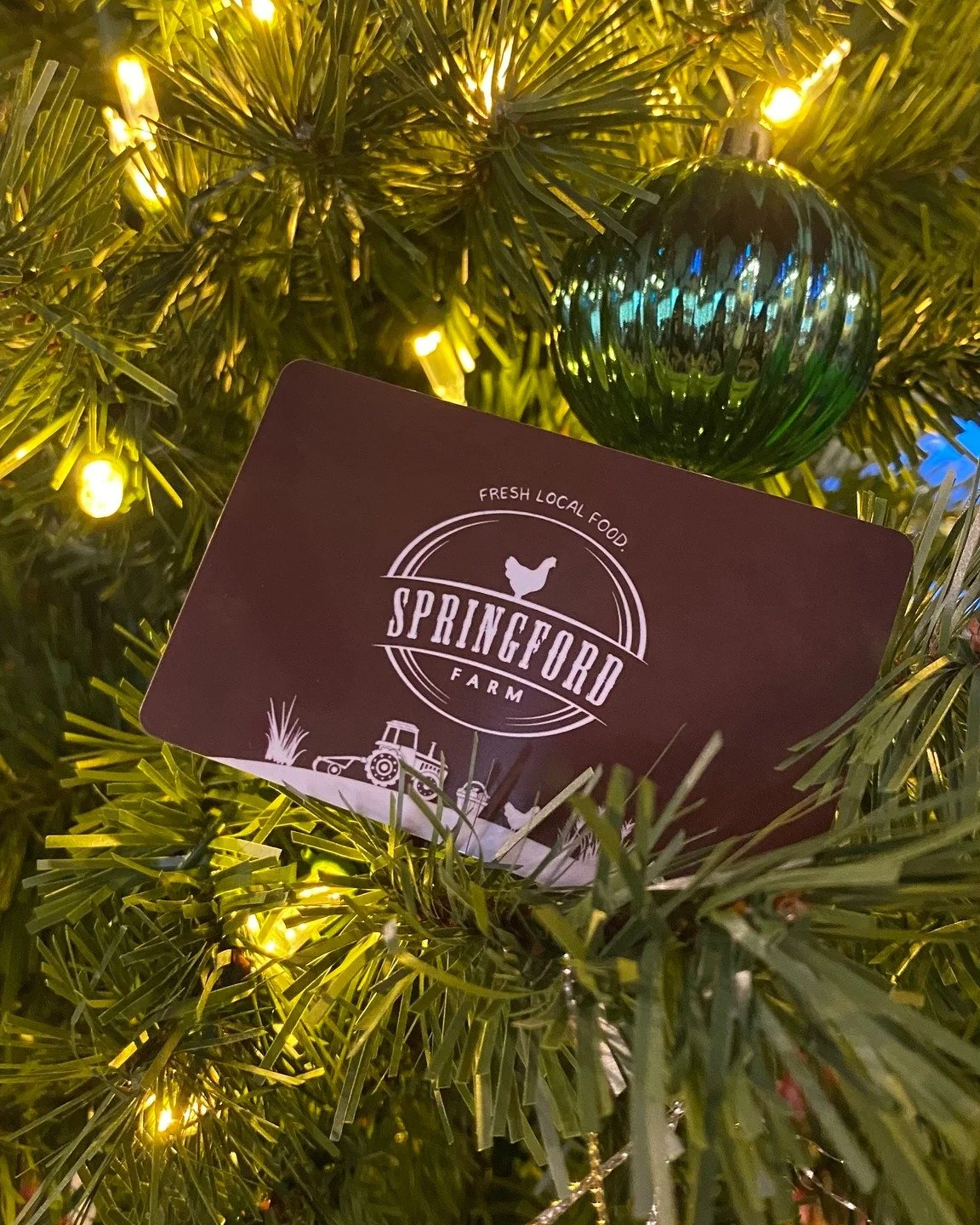 A little wink of local goodness under the tree 🎄

Springford Farm gift cards are now available online and in-store! If you&rsquo;re looking for a thoughtful, local gift this season, we&rsquo;ve got you covered.

You can load then with any amount, an