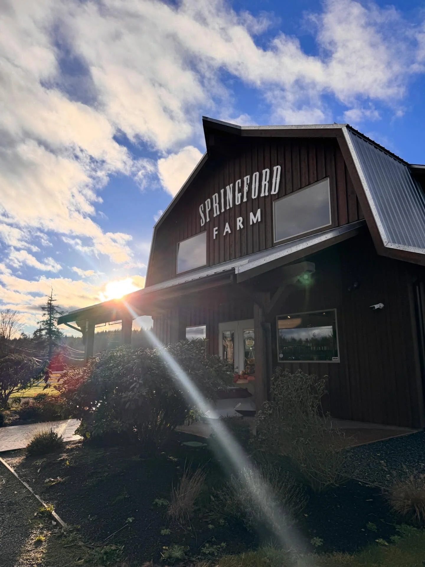 Happy Winter Solstice! ❄️ what an absolutely beautiful day ☀ 
 
We're open Today (Sunday), Monday and Tuesday this week, 9:30-5:00! Turkeys and hams are ready for pickup, plus we have plenty of island-grown food for all your holiday festivities. Shop