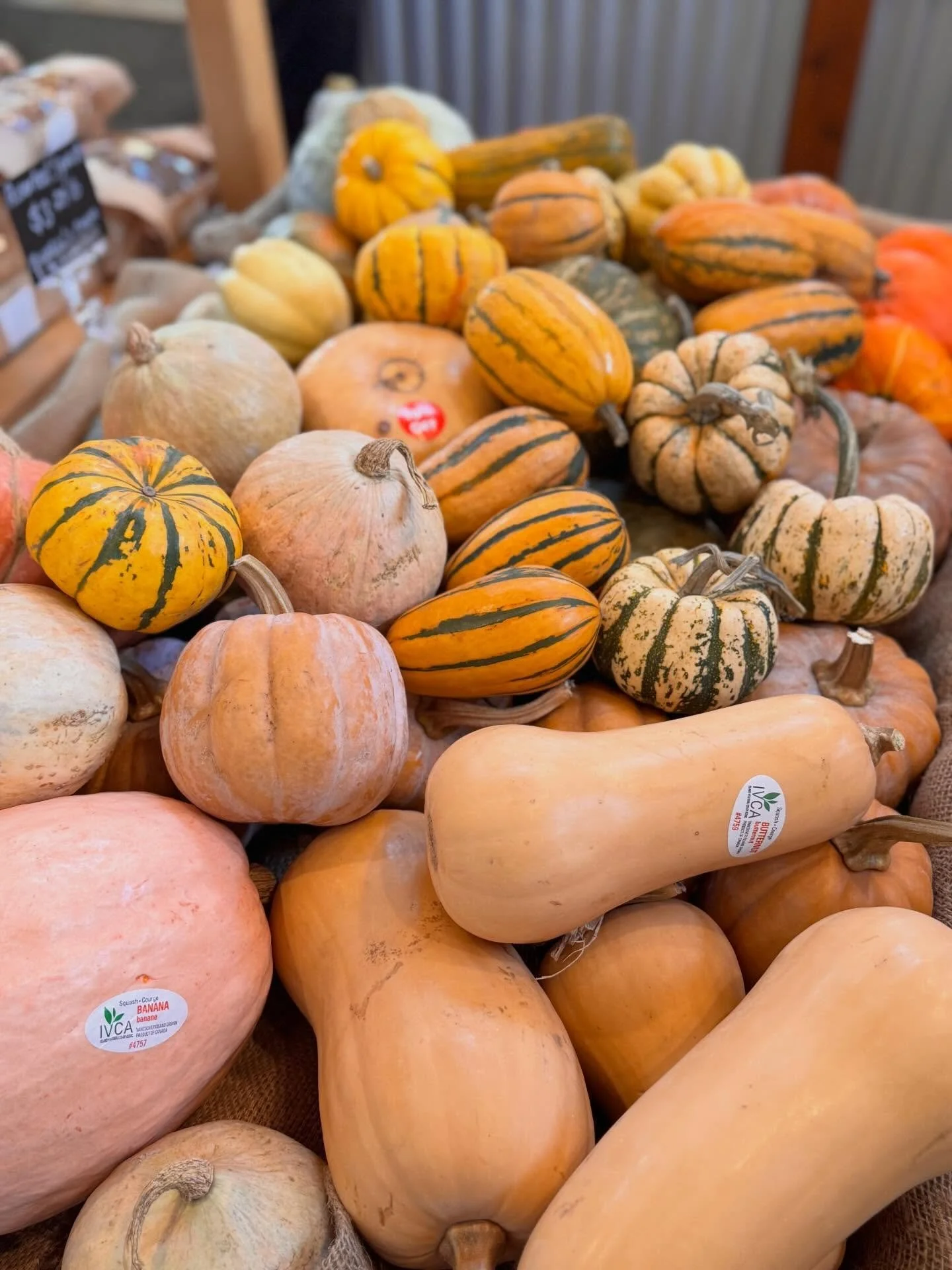 ❄️ Rooted in the Season ❄️
 
Eating local and seasonal in the wintertime is all about simple, hearty, local food &mdash; and that&rsquo;s exactly what you&rsquo;ll find in our market right now. Our shelves are filled with 100% Island-grown produce: p